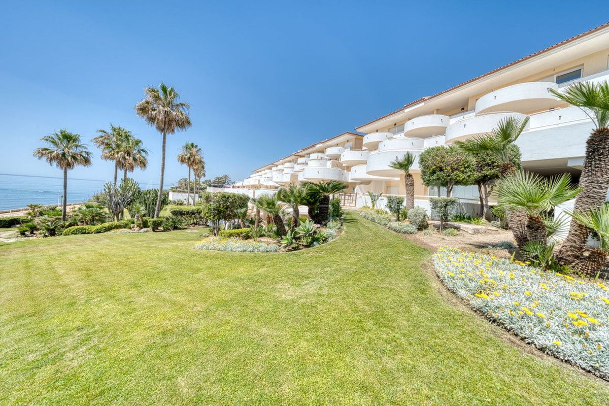 Buy apartamento planta baja in Estepona