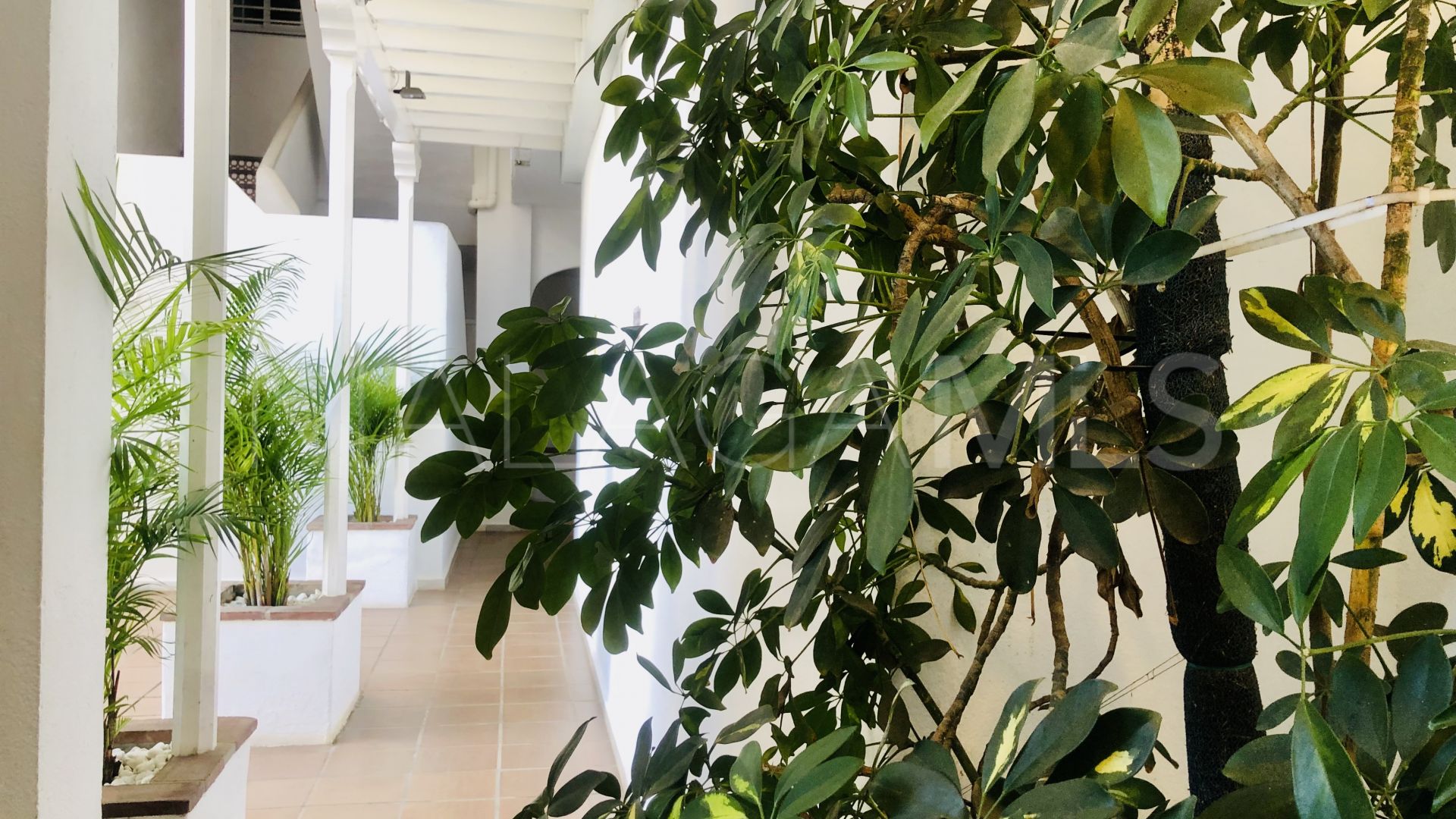 Appartement for sale in Marbella - Puerto Banus