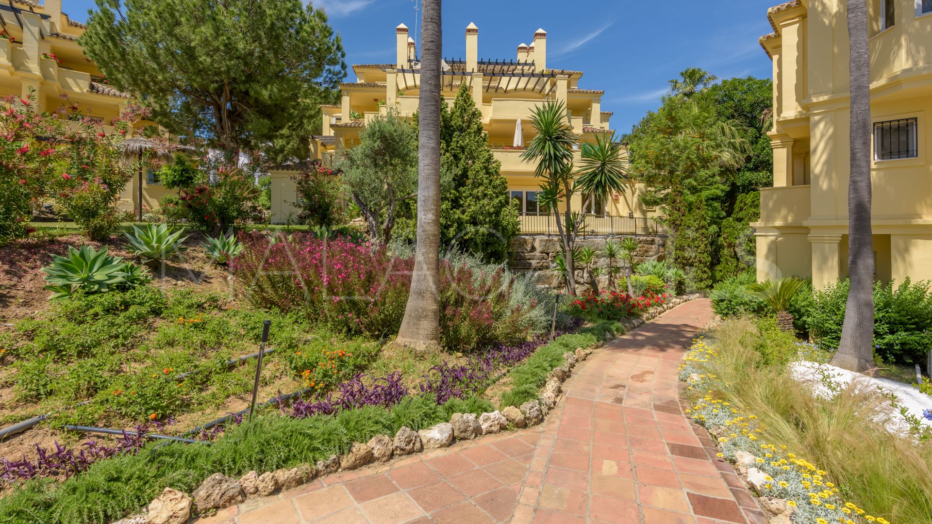 Appartement rez de chaussée for sale in Majestic