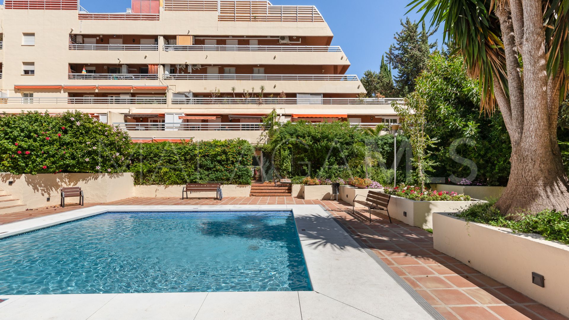 Appartement rez de chaussée for sale in Marbella Centro