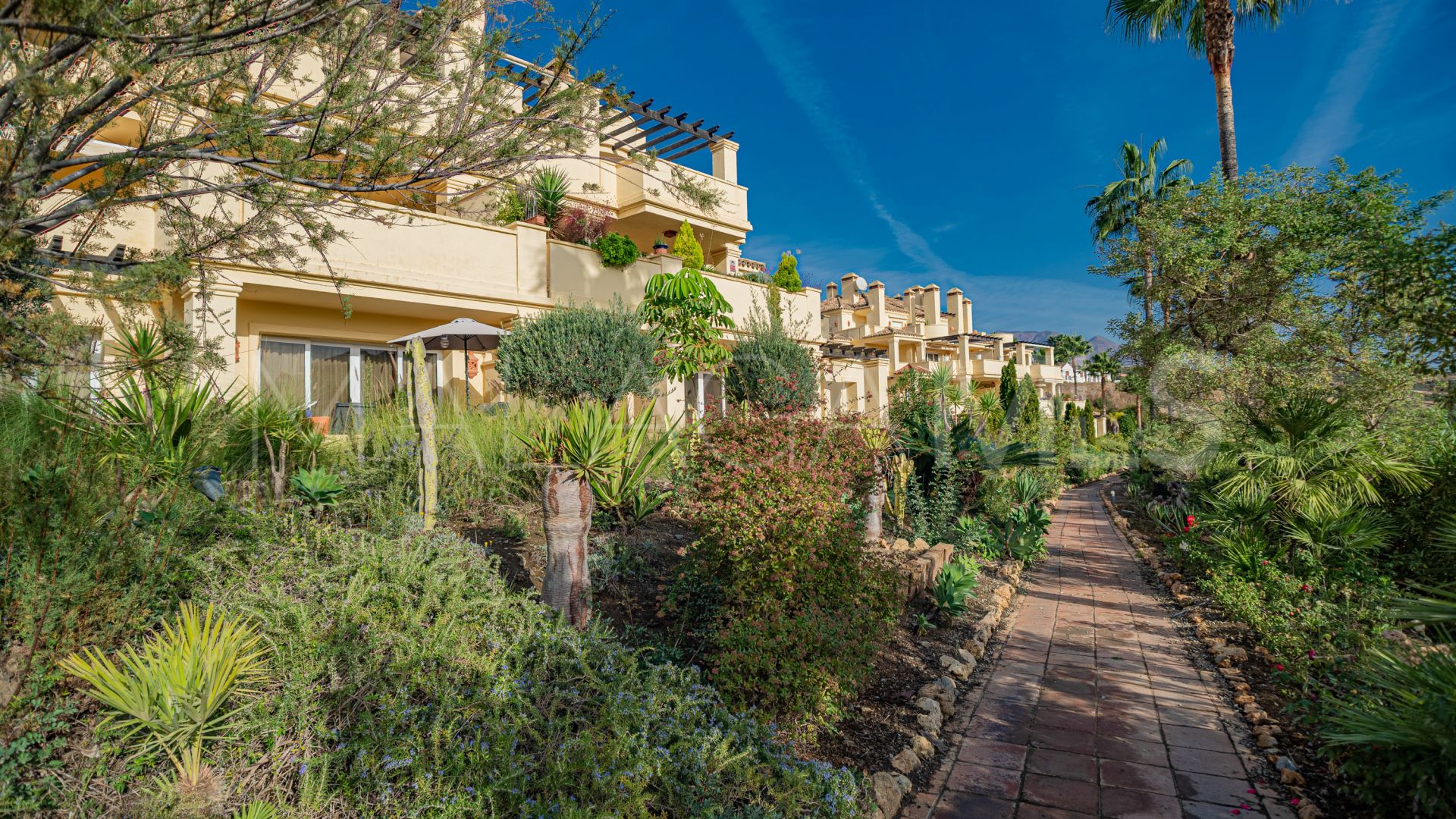 Appartement for sale in Majestic