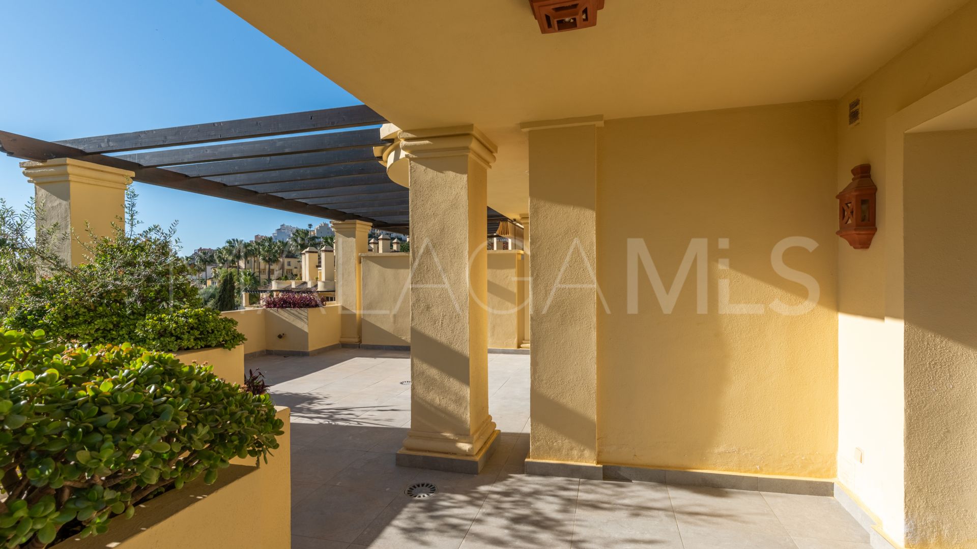 Appartement for sale in Majestic