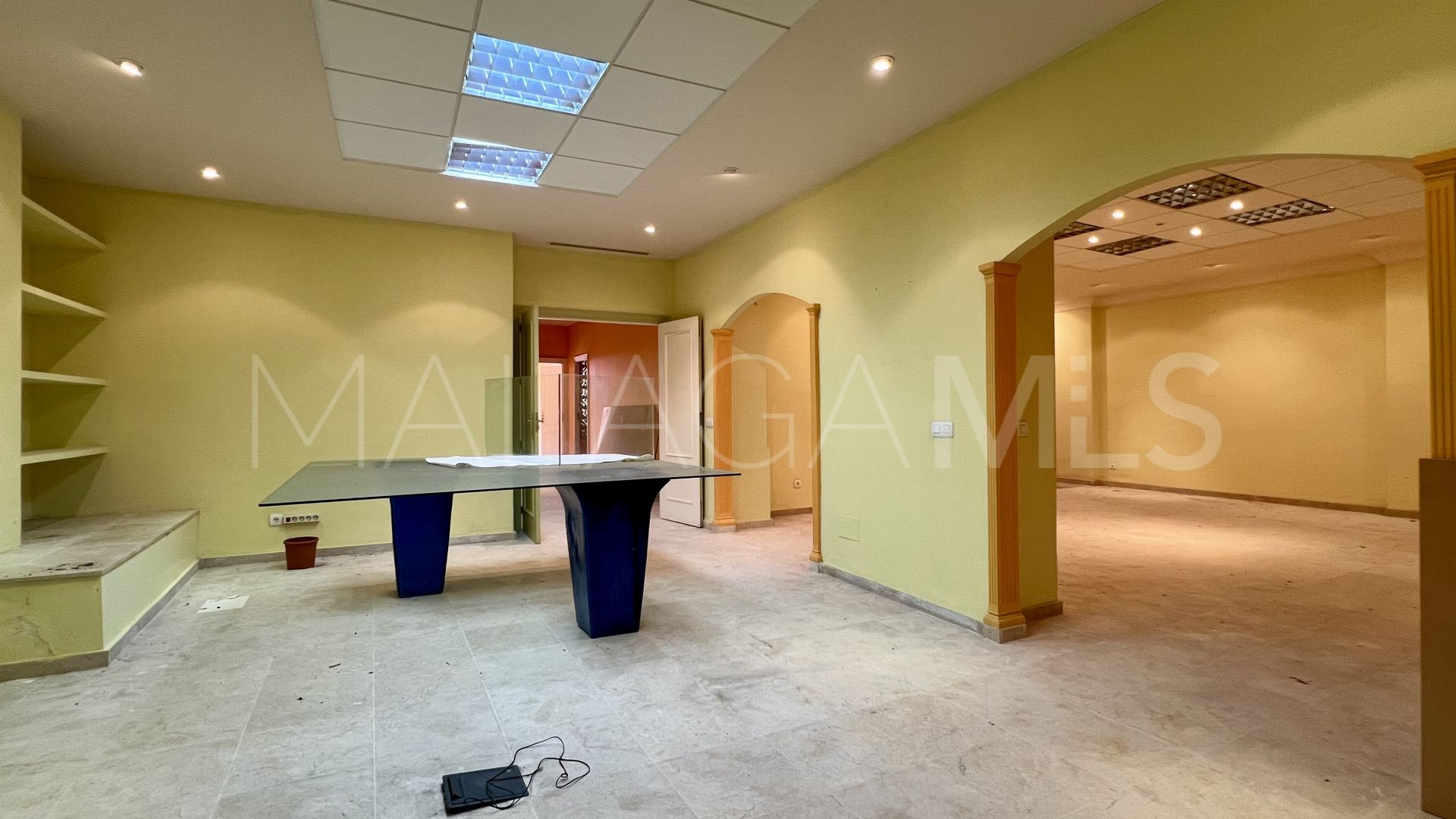 Commercial for sale in Guadalmina Alta