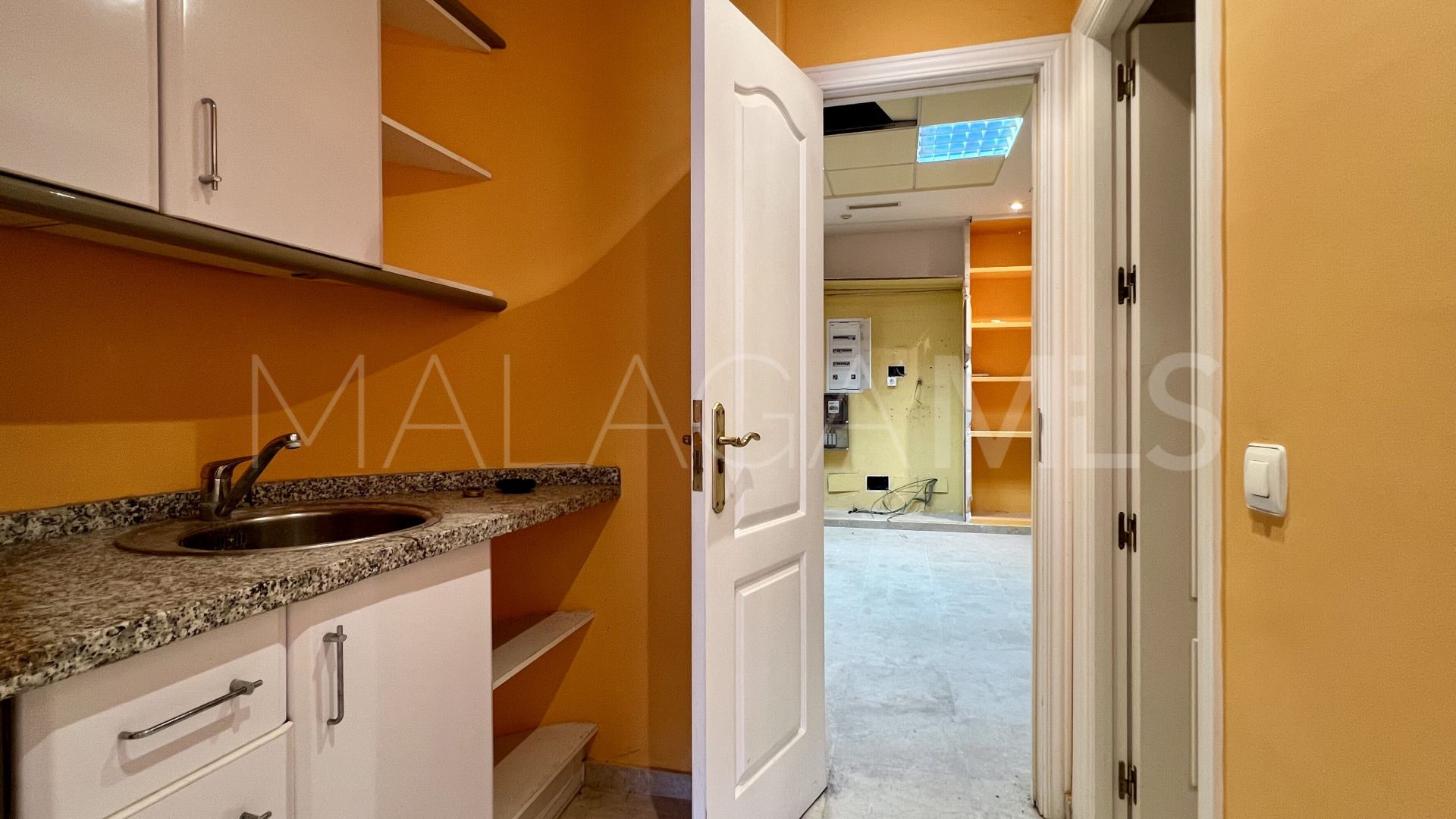 Commercial for sale in Guadalmina Alta
