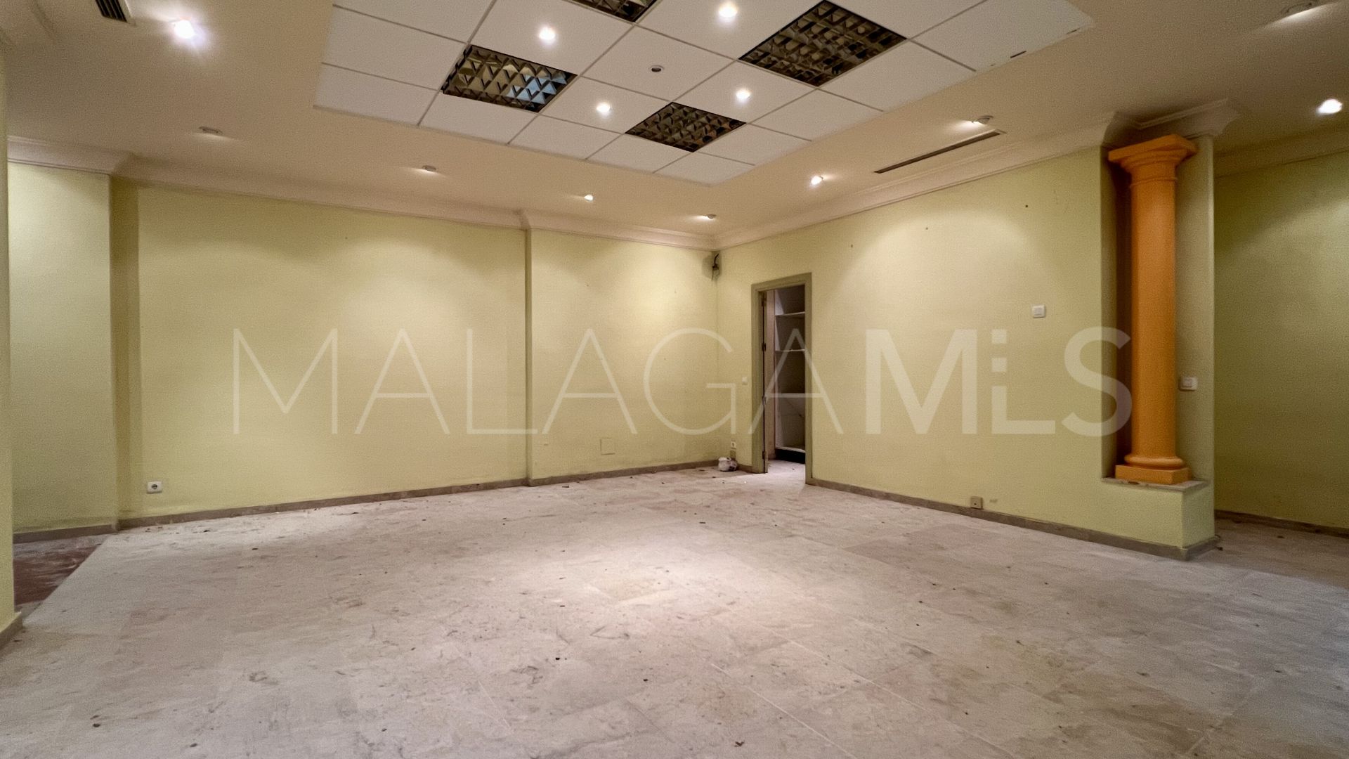 Commercial for sale in Guadalmina Alta