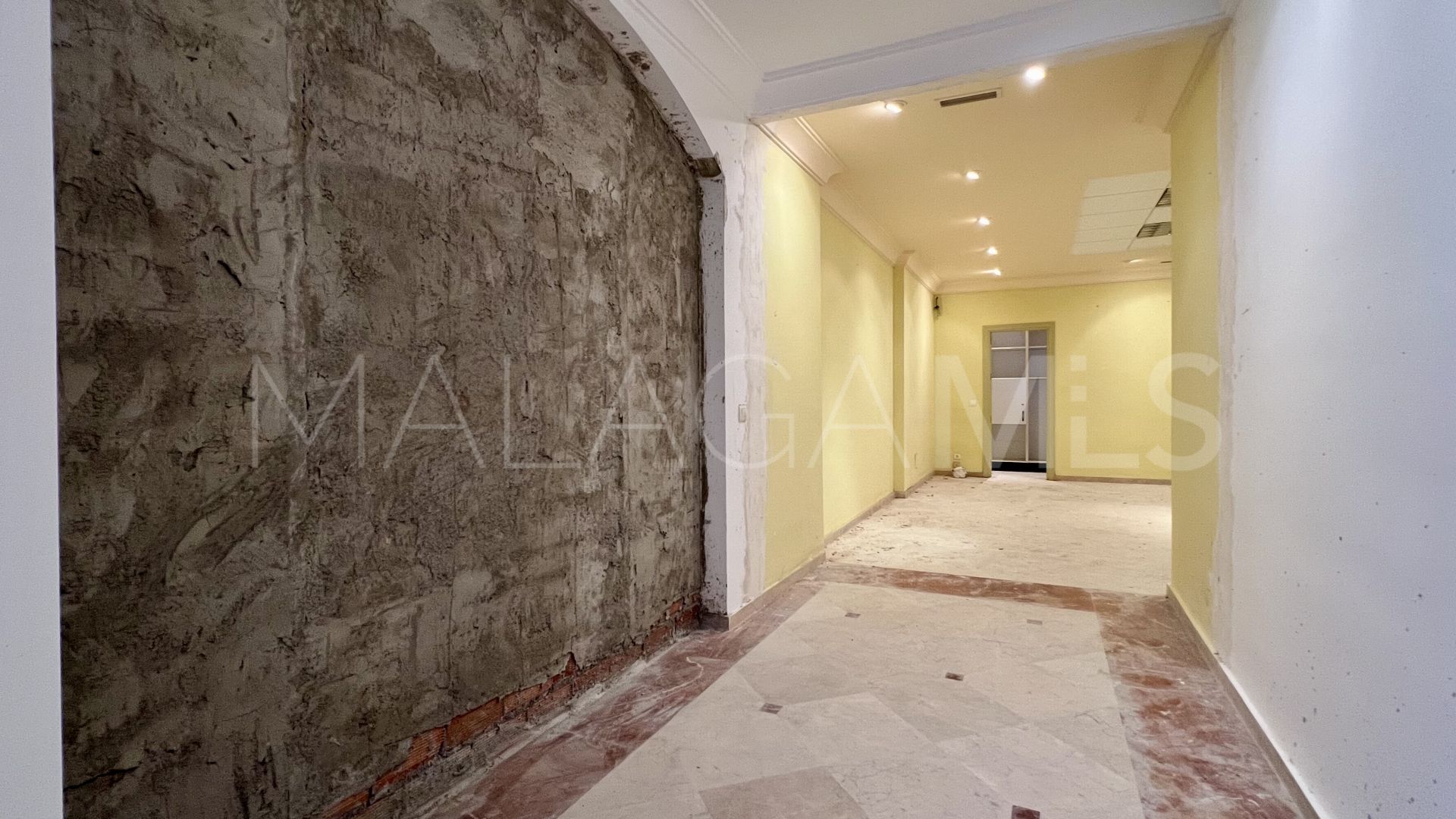 Commercial for sale in Guadalmina Alta