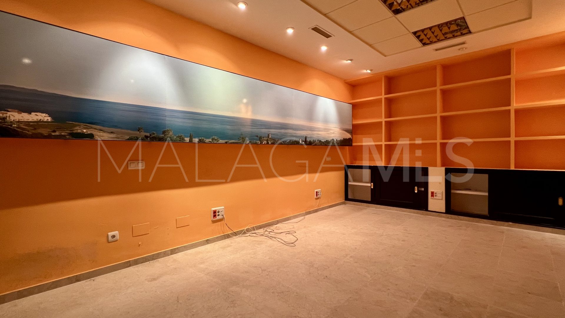 Commercial for sale in Guadalmina Alta