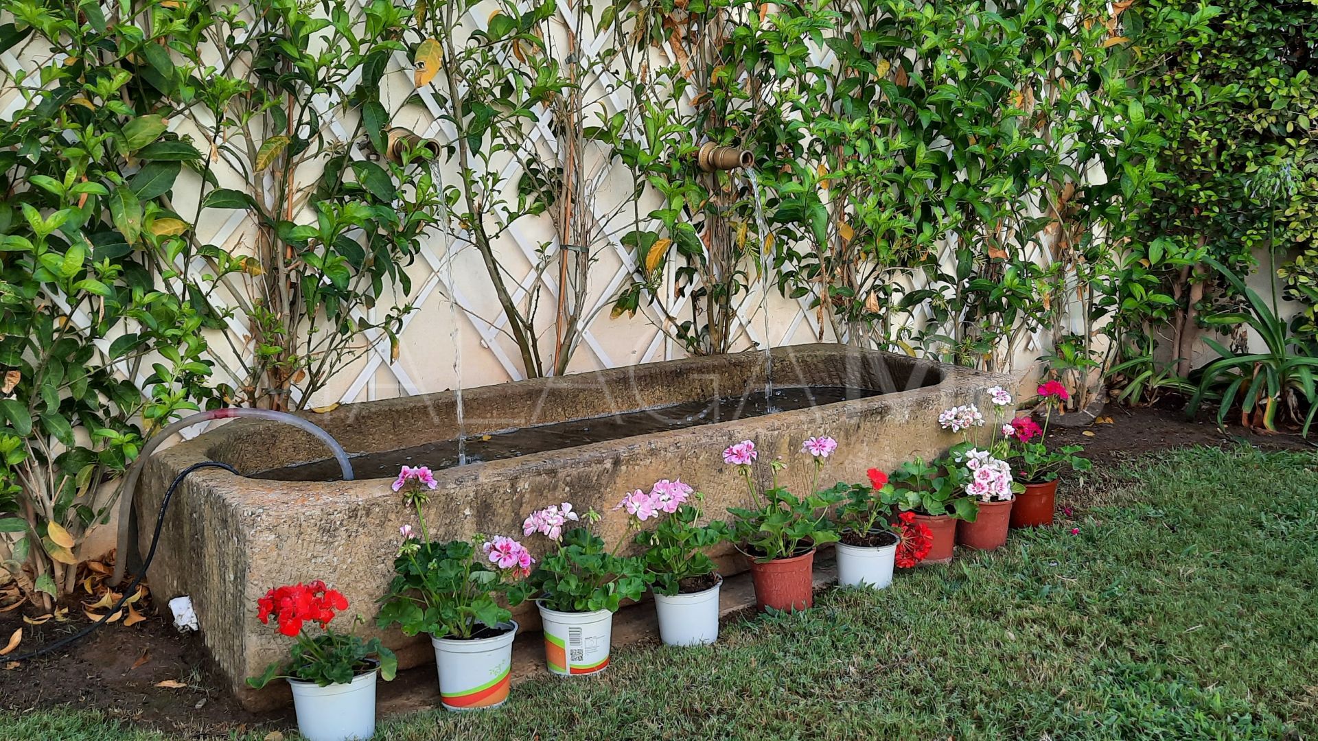 Guadalmina Baja 4 bedrooms town house for sale