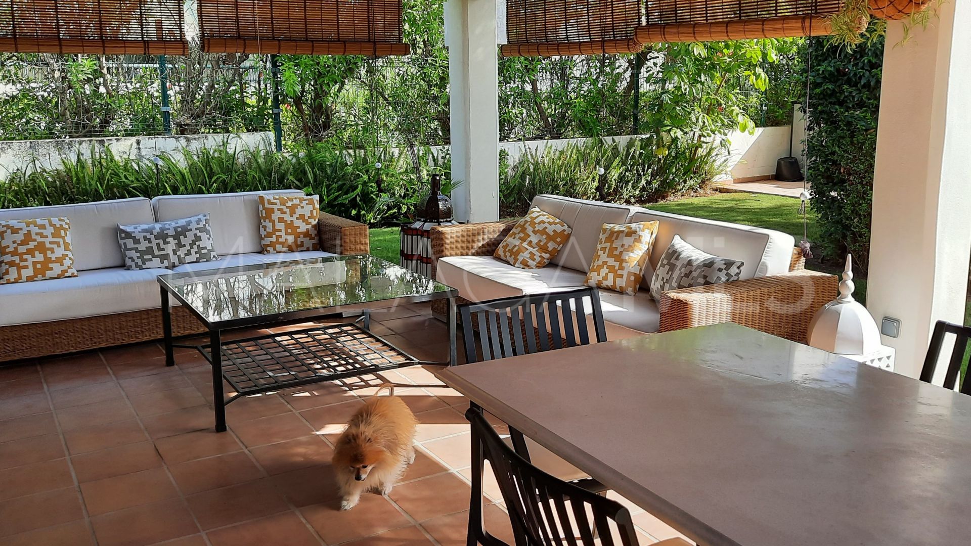 Guadalmina Baja 4 bedrooms town house for sale