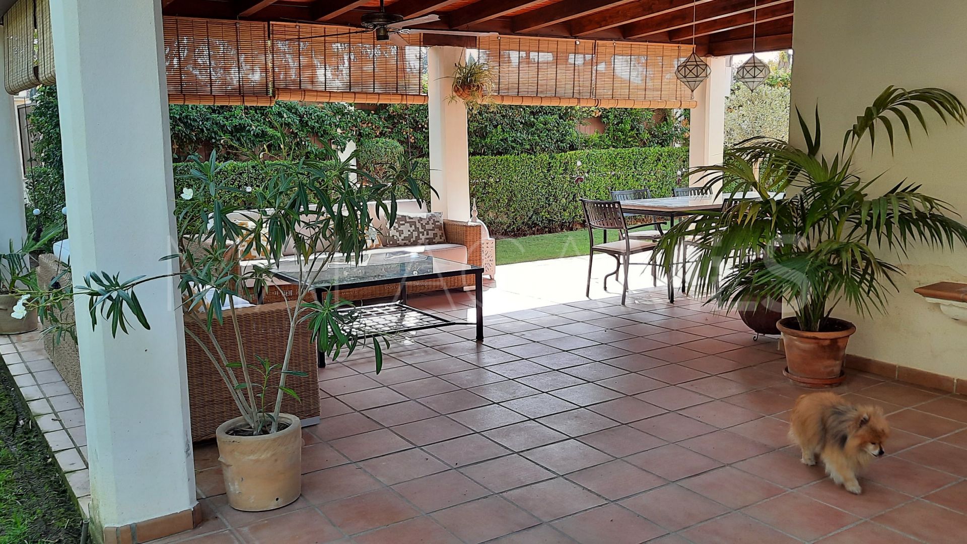 Guadalmina Baja 4 bedrooms town house for sale