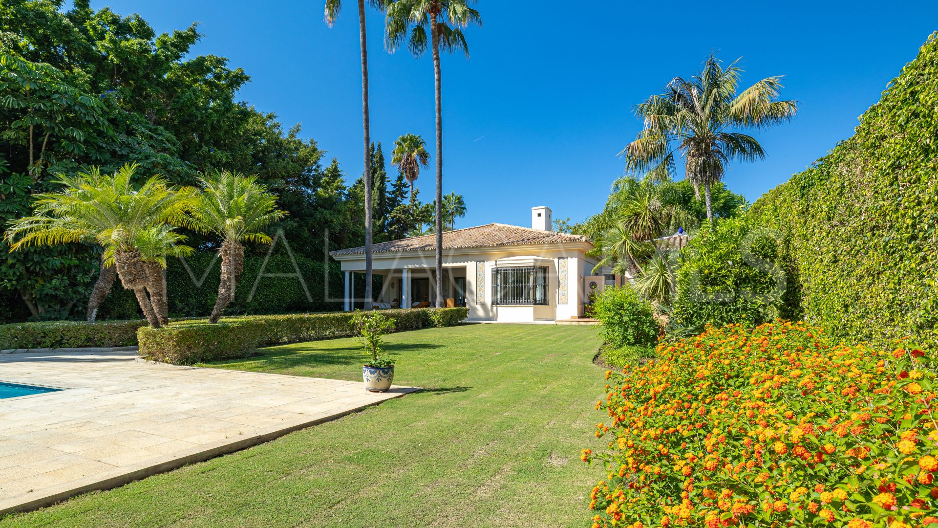 Villa for sale in Guadalmina Baja