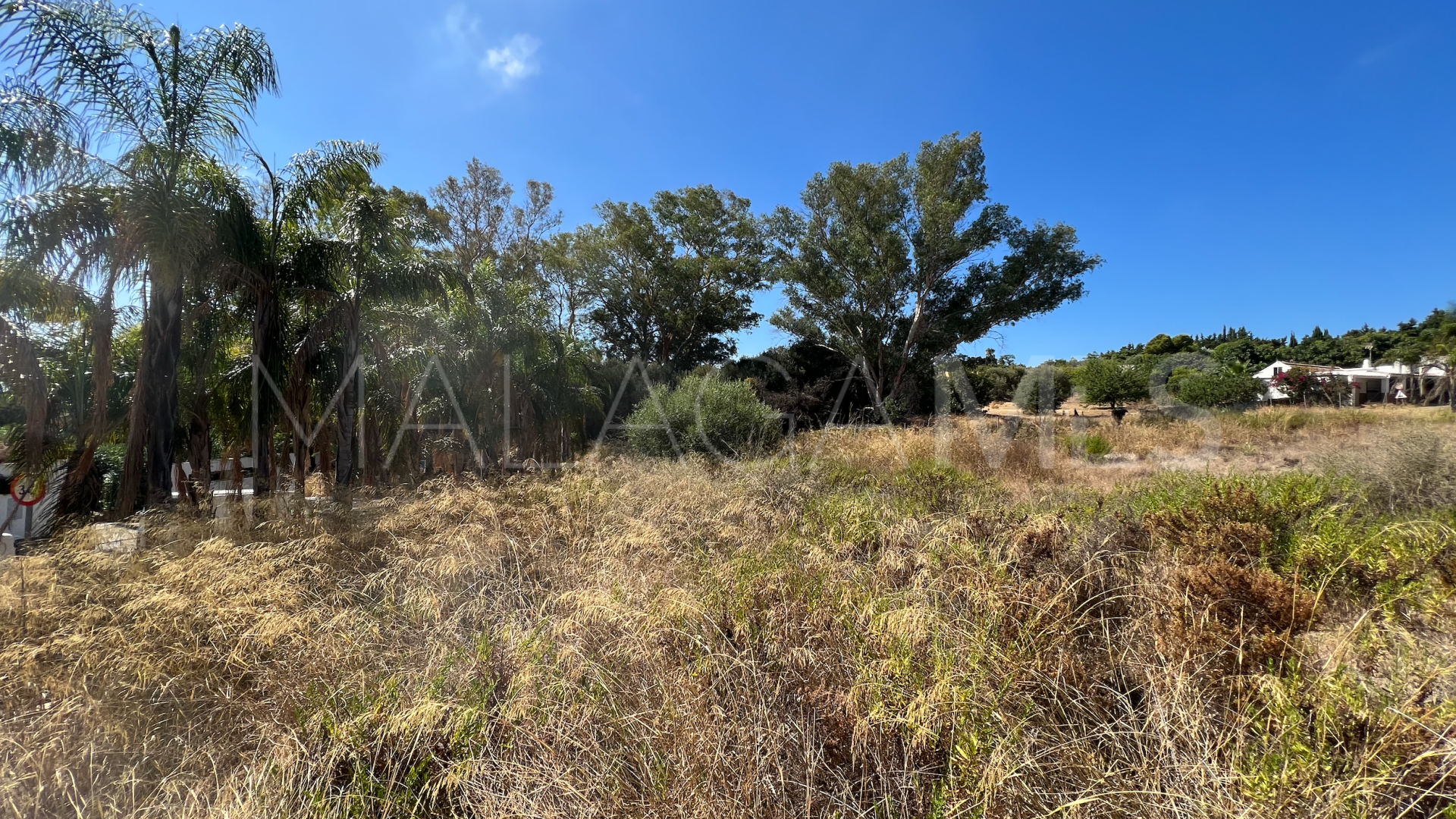 For sale Boladilla Village plot