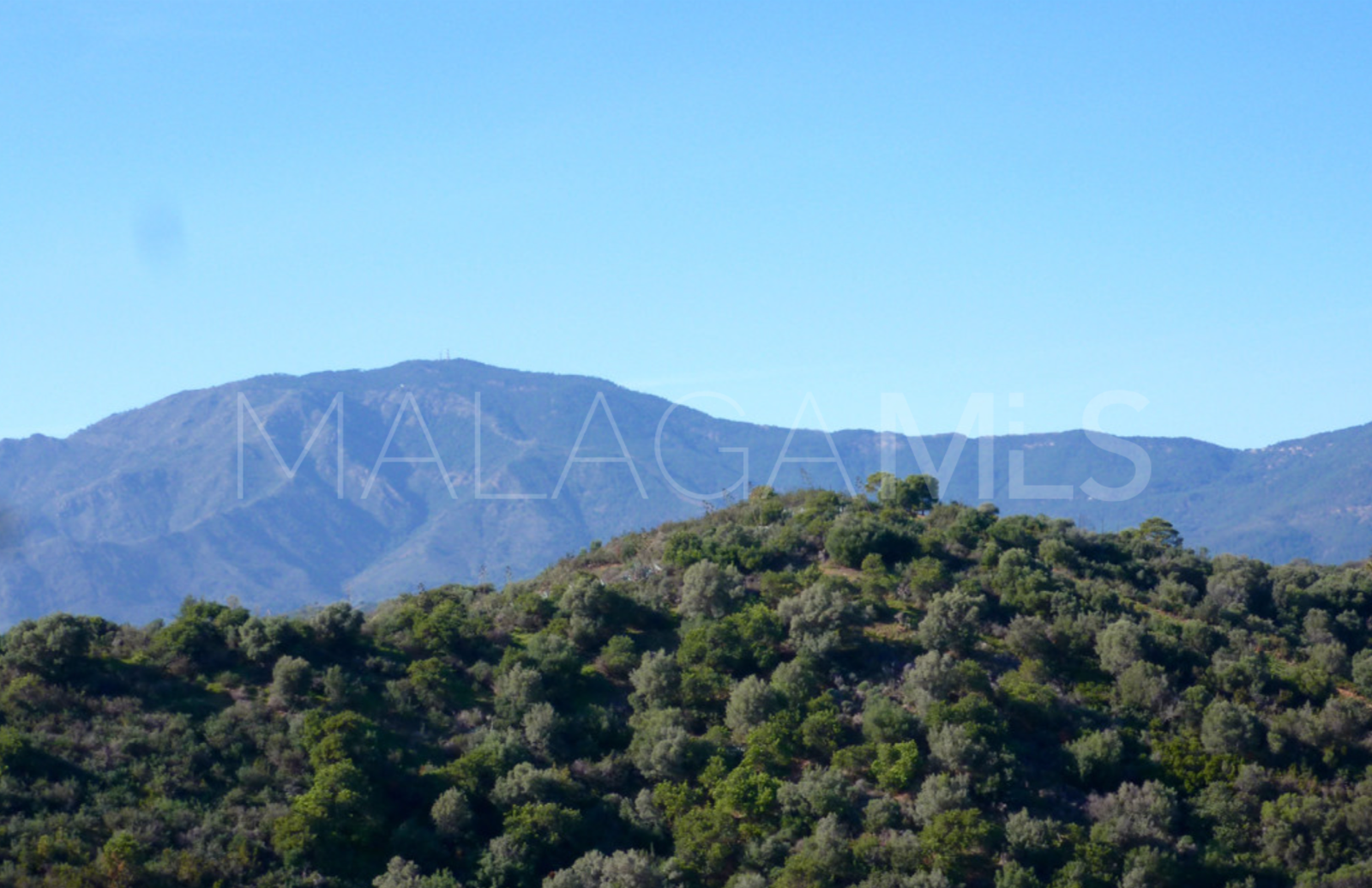 Terrain résidentiel for sale in New Golden Mile