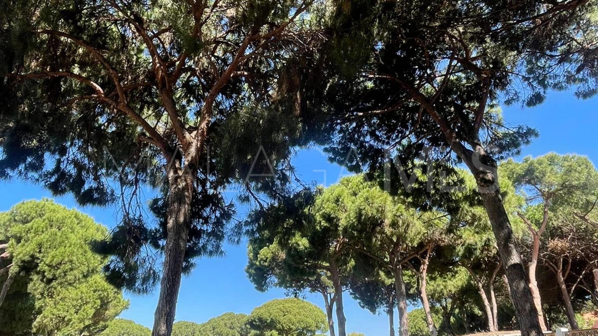 Parcela a la venta in Artola
