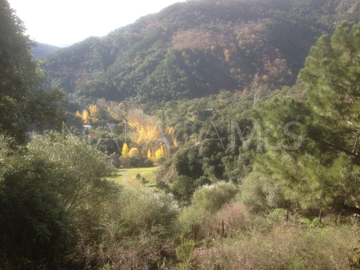 Finca zu verkaufen in Jubrique