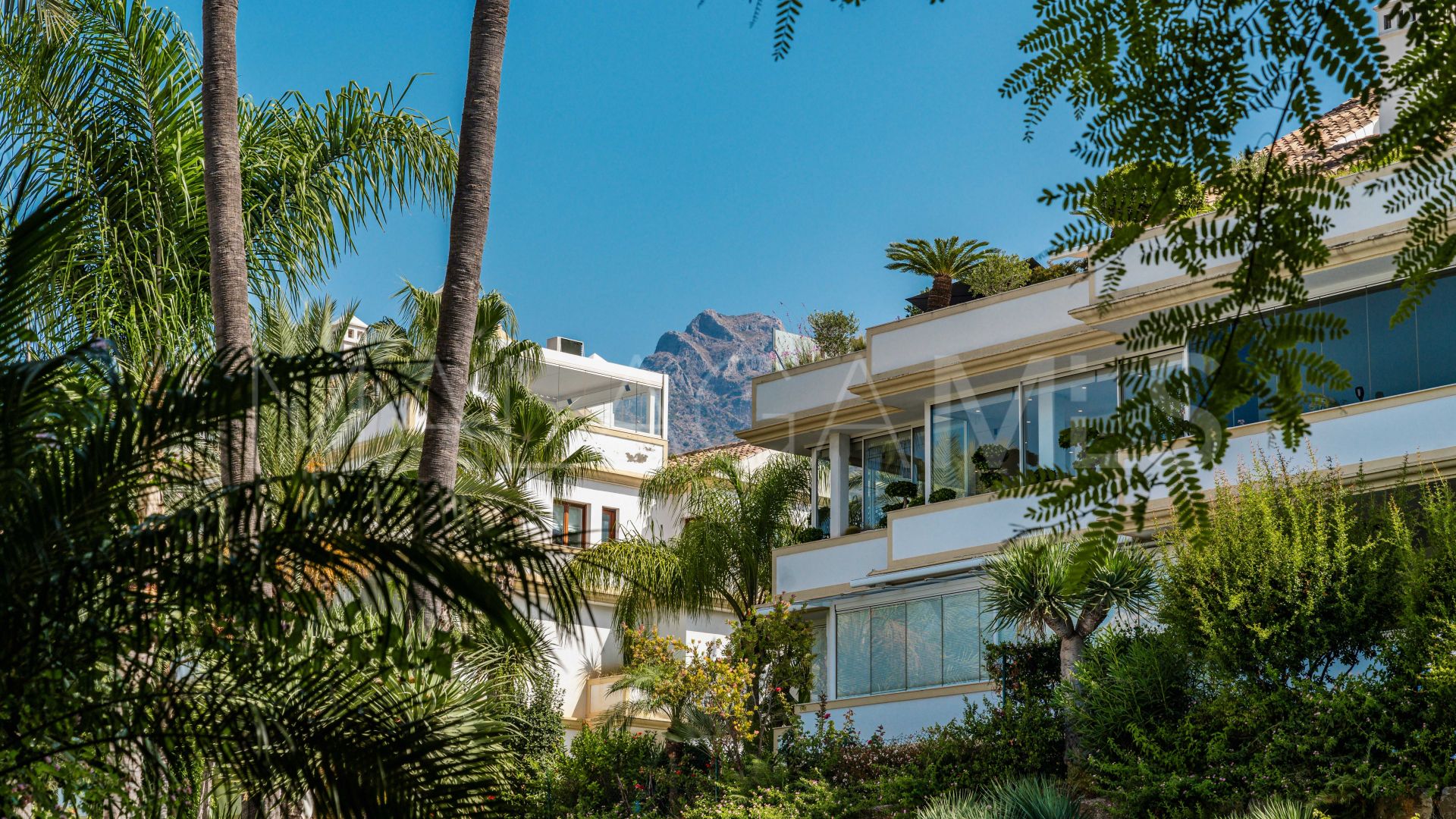 Buy duplex penthouse in Lomas del Rey