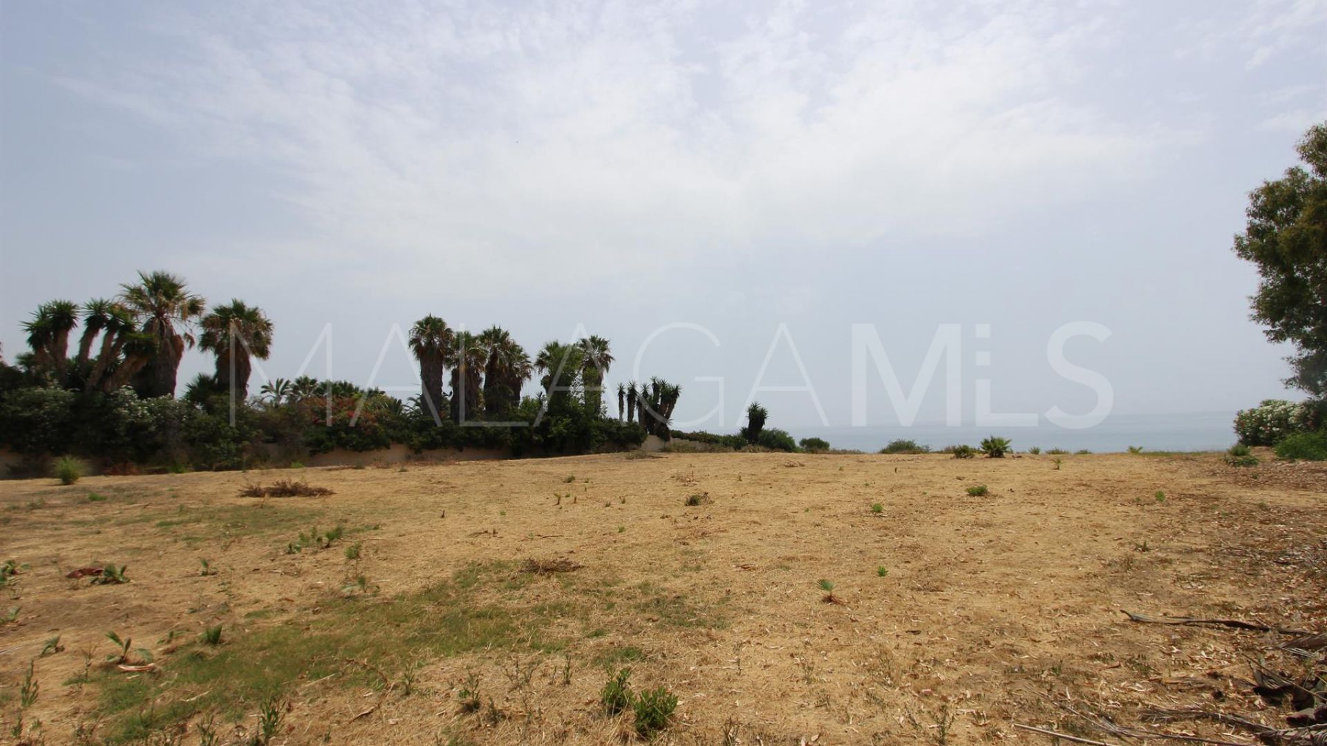 For sale Seghers plot