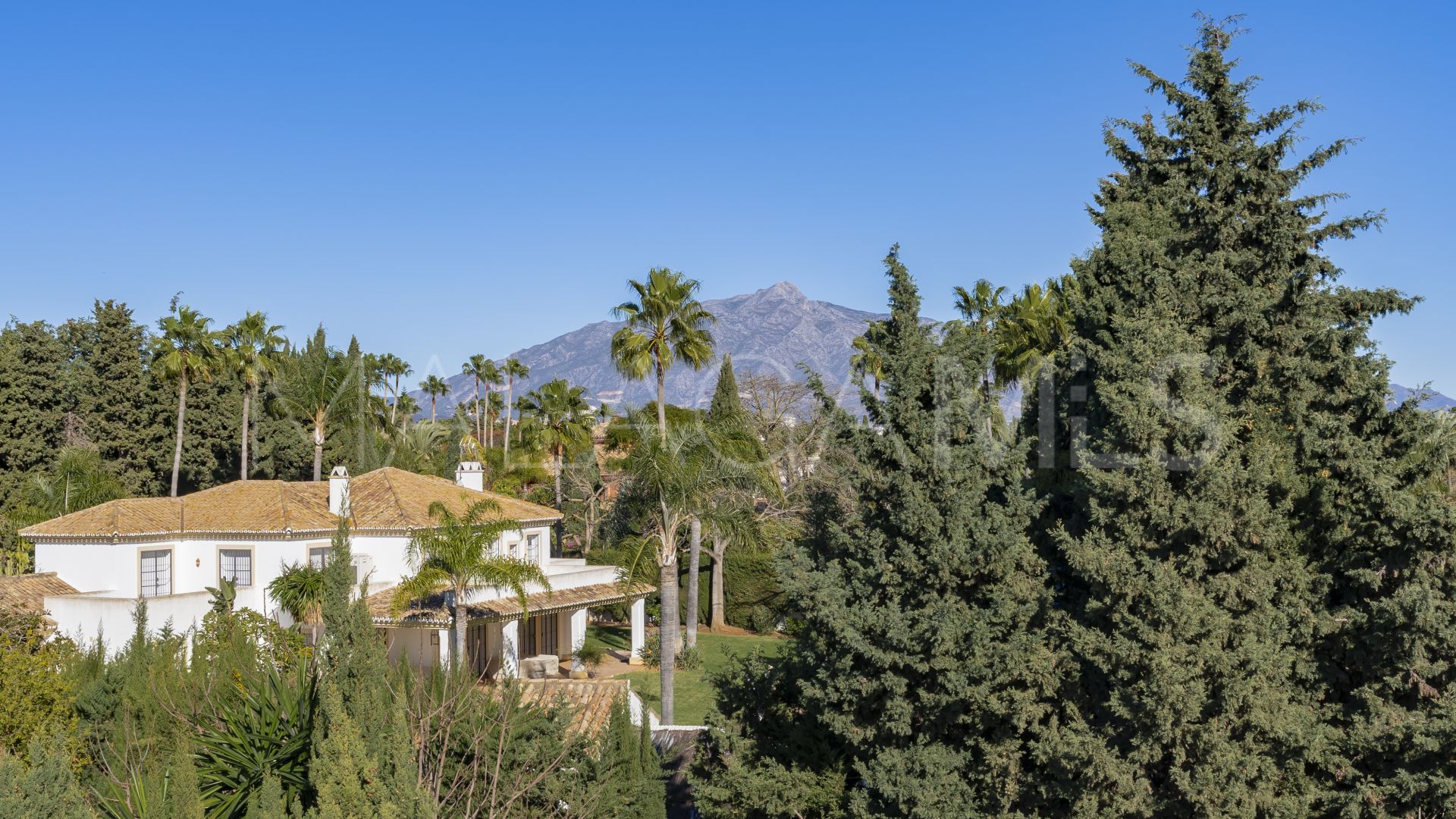 Villa for sale in Guadalmina Baja