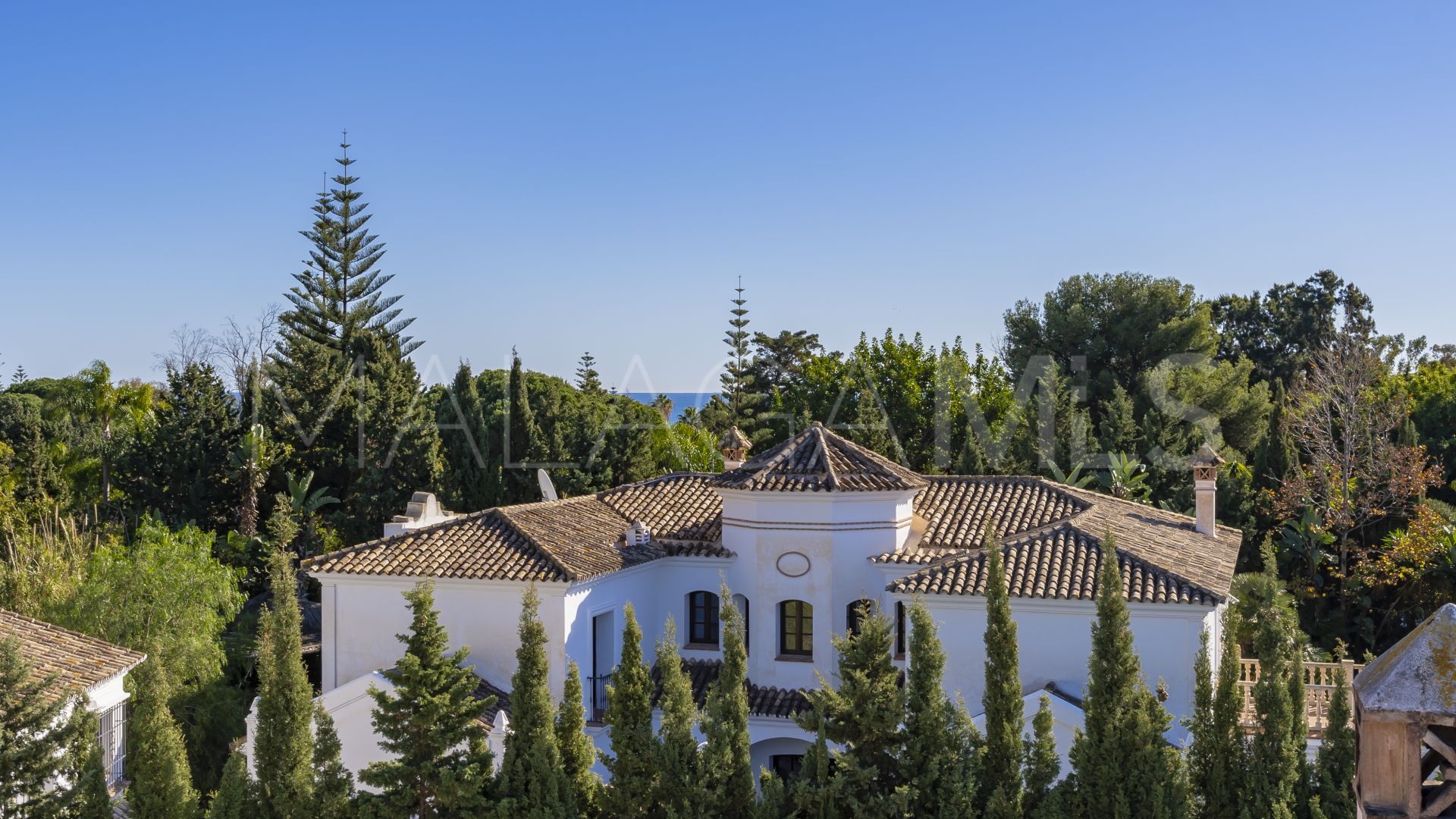 Villa for sale in Guadalmina Baja