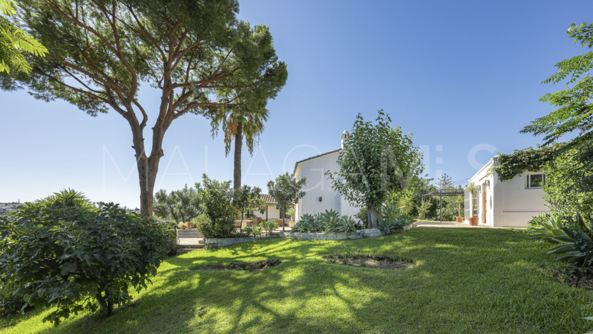 Villa for sale in Guadalmina Alta