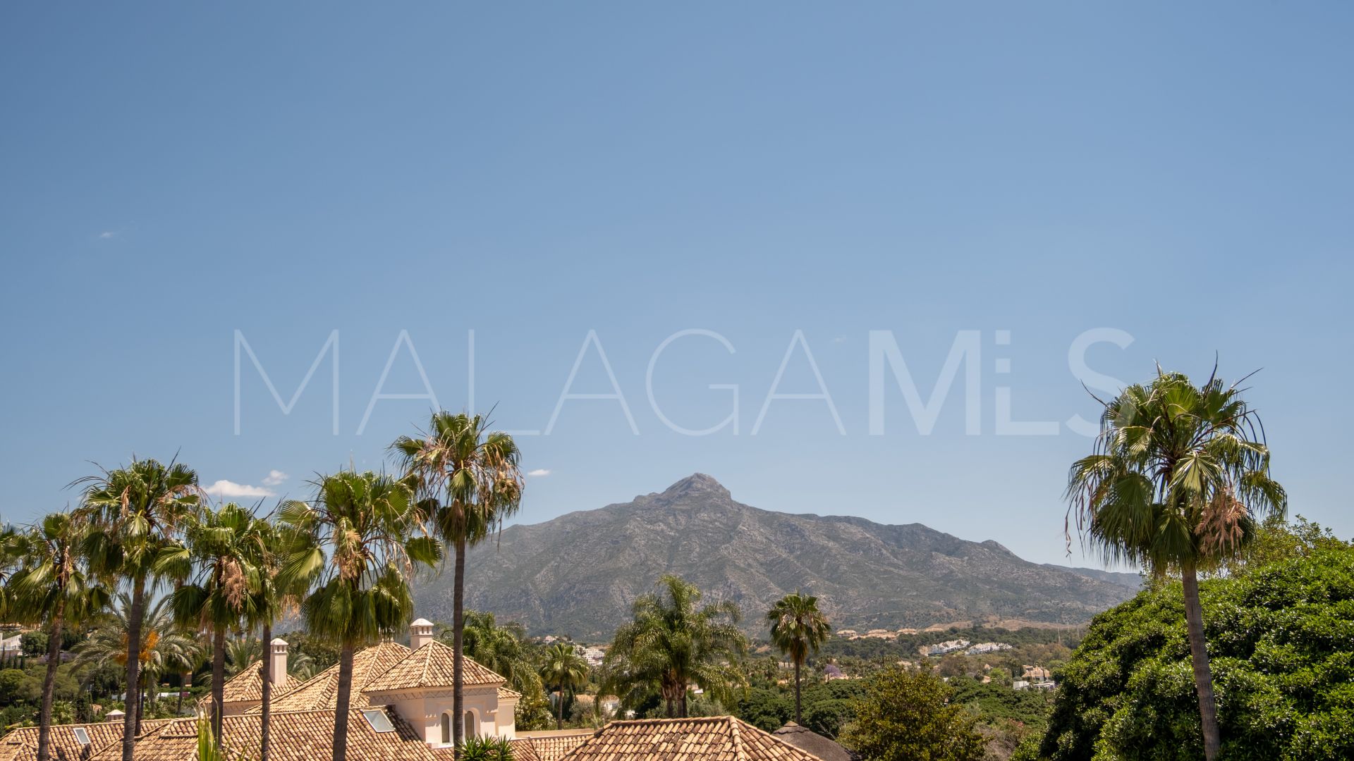 Villa for sale in Nueva Andalucia