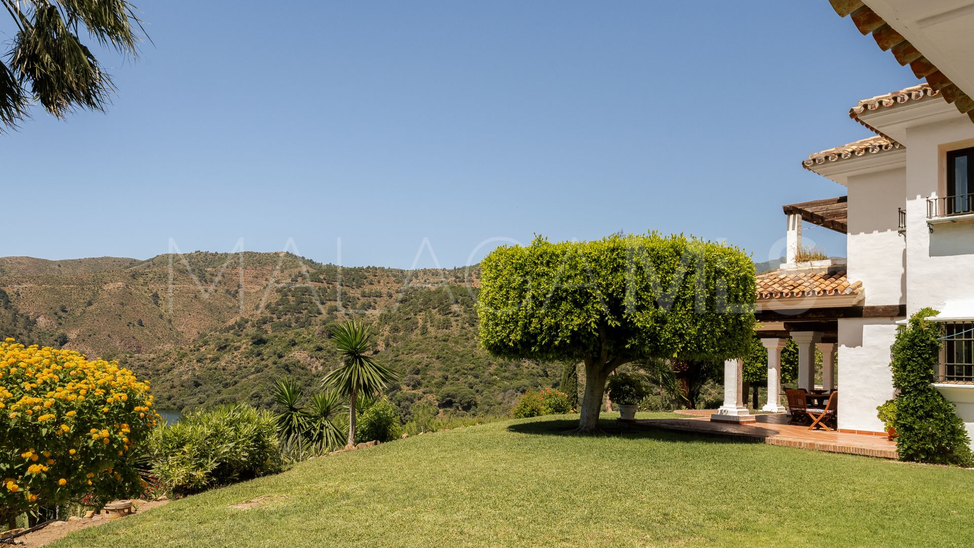 For sale Istan finca