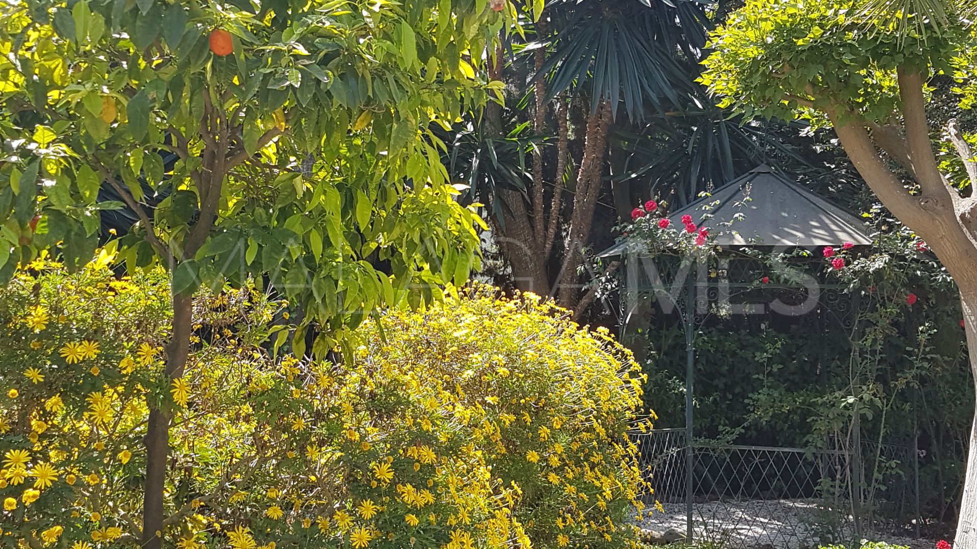 Villa for sale in Guadalmina Baja with 3 bedrooms