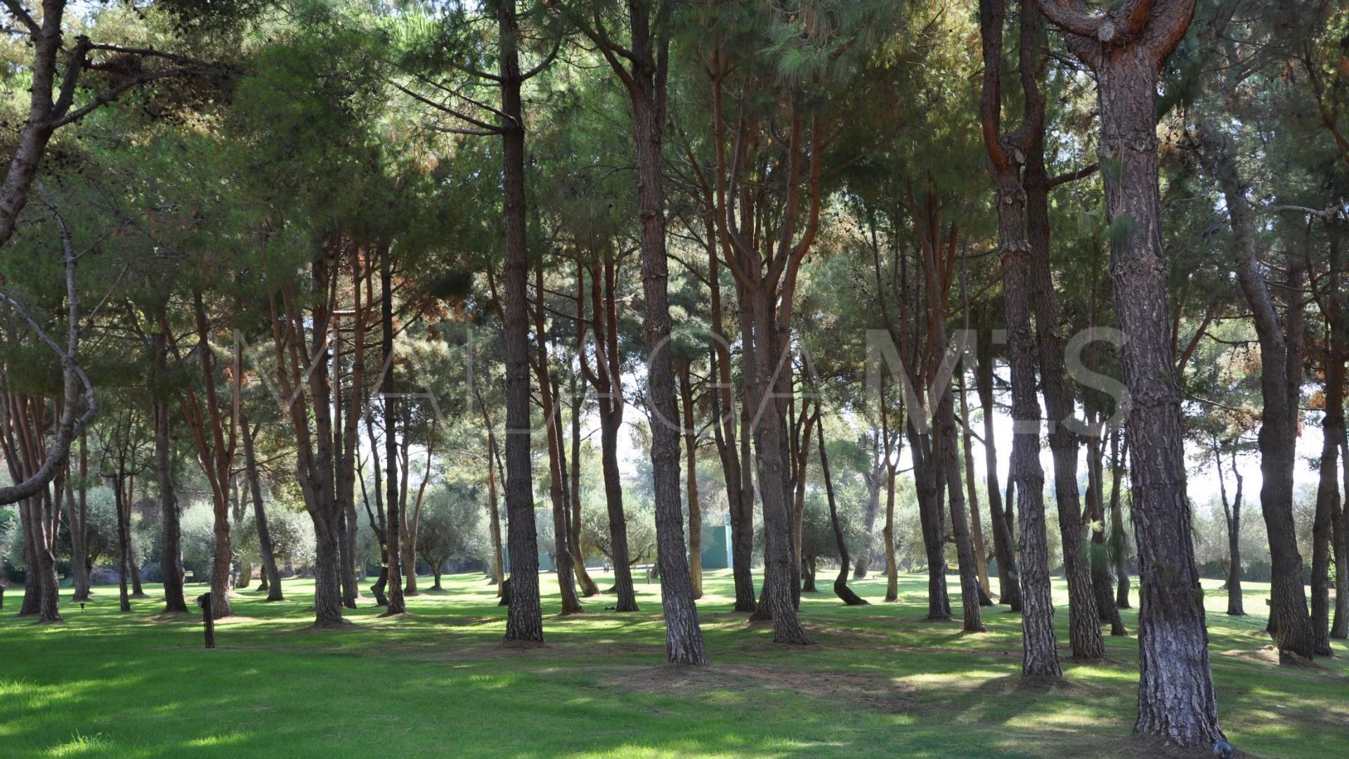 Villa for sale in Altos Reales