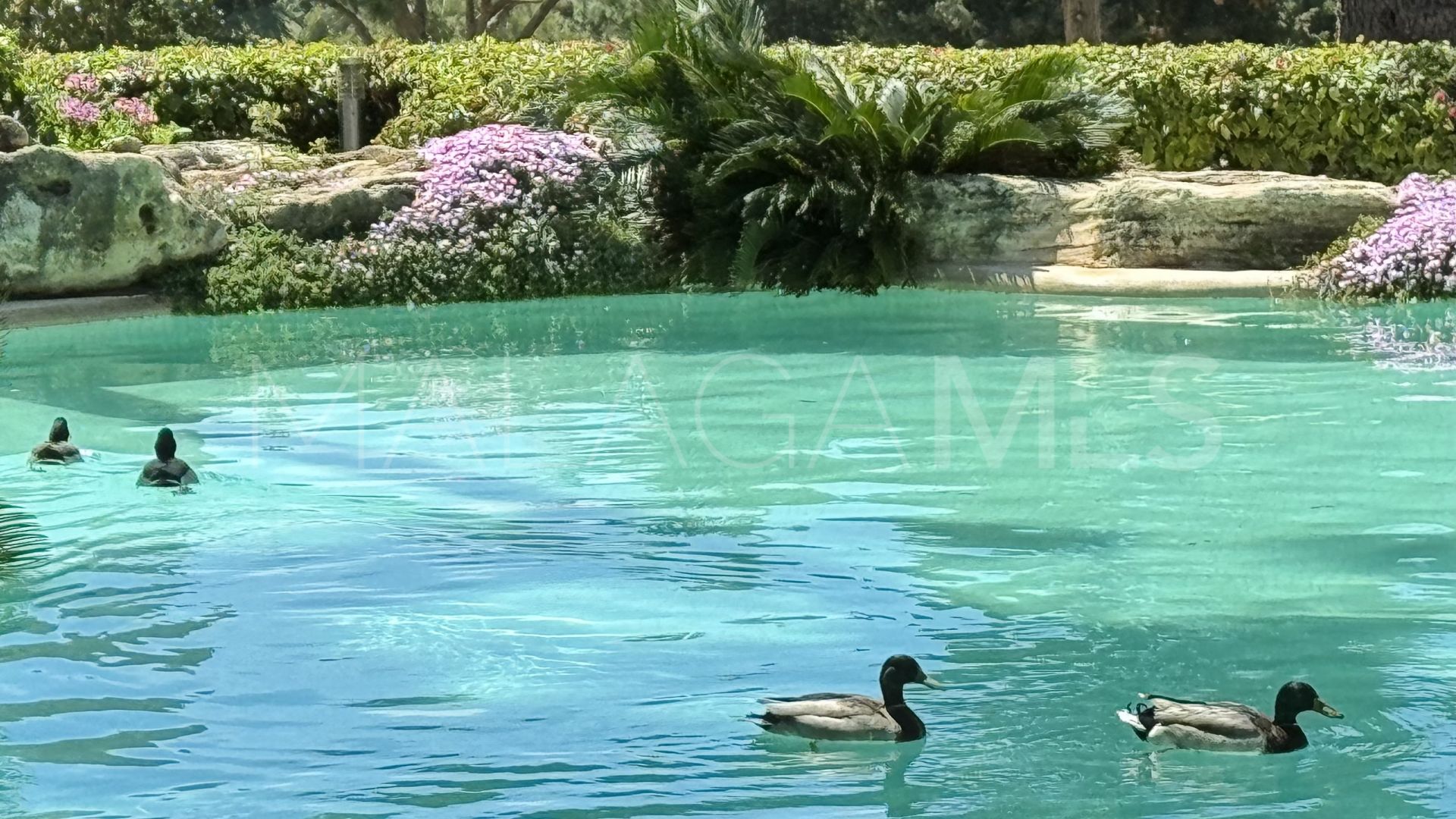 Villa for sale in Los Monteros