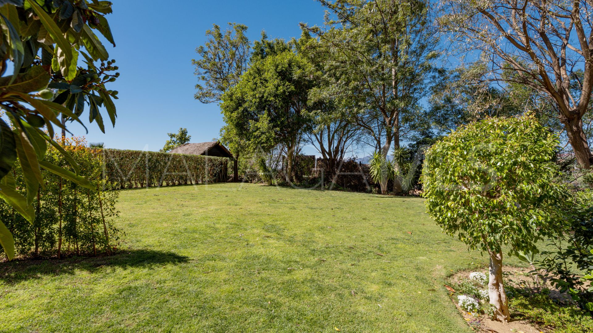 Markplanslägenhet for sale in Nueva Andalucia