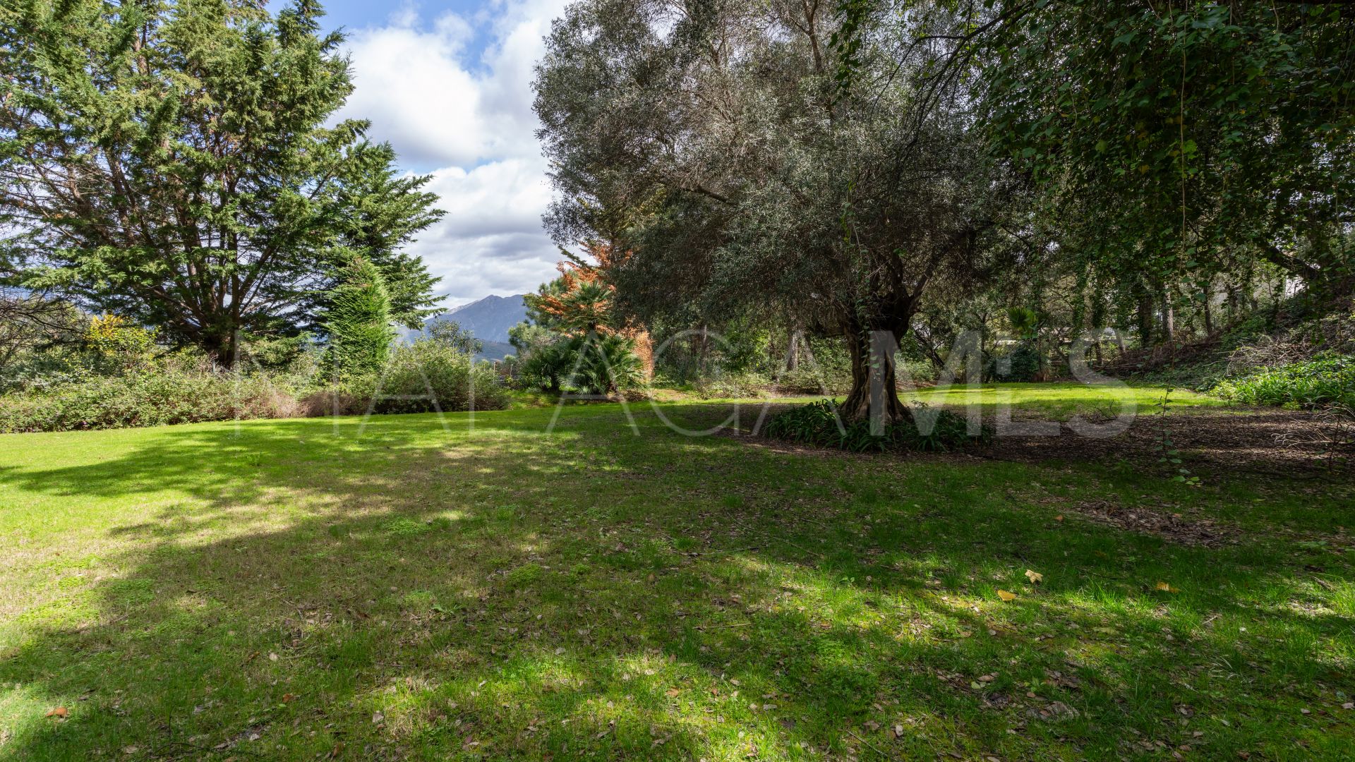 Tomt for sale in La Zagaleta