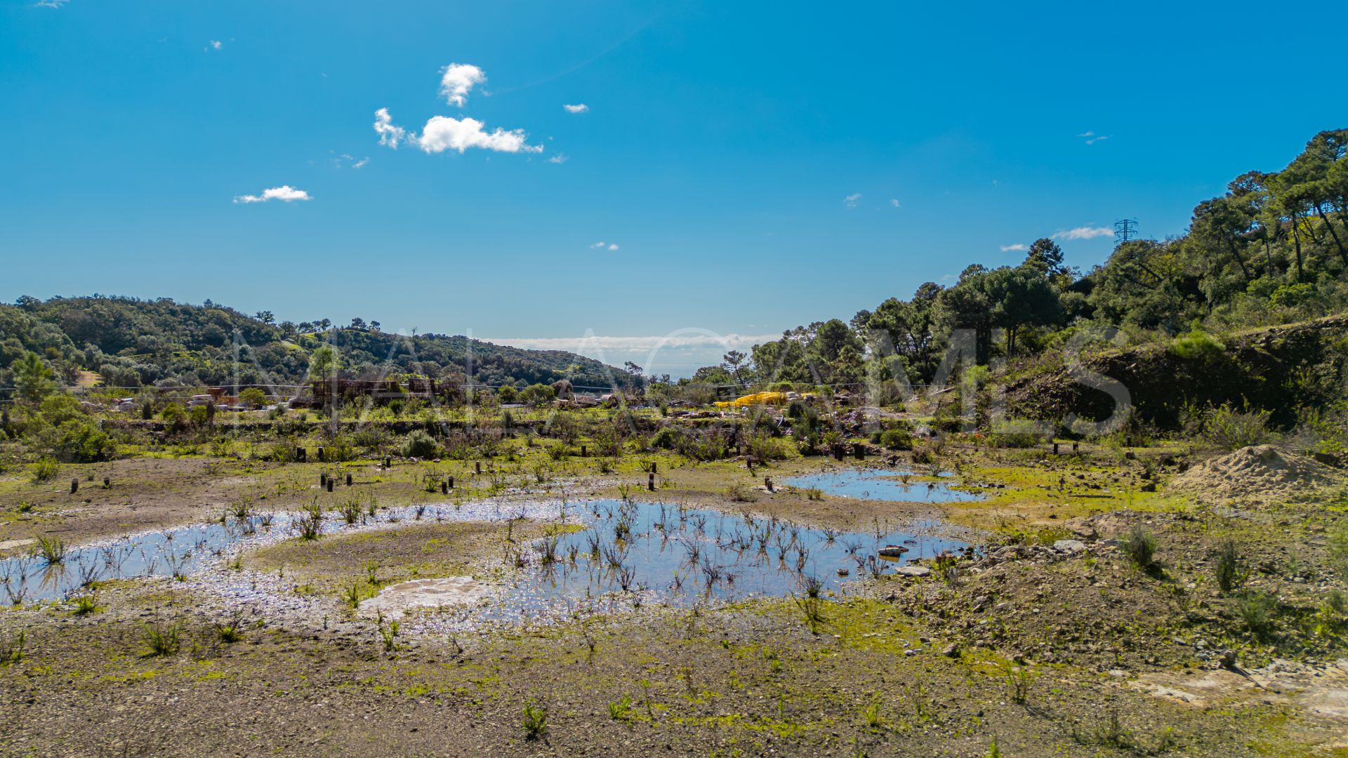 Buy parcela in La Zagaleta