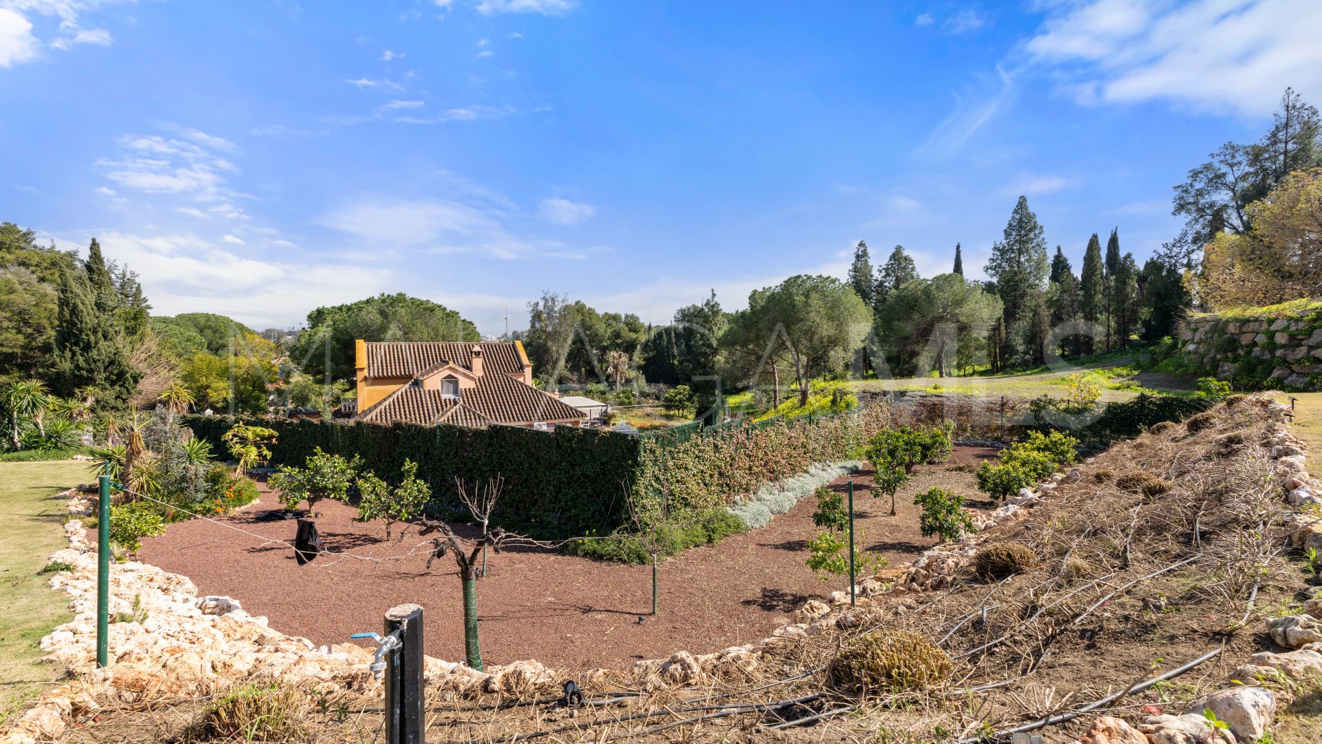 Villa for sale in Guadalmina Alta