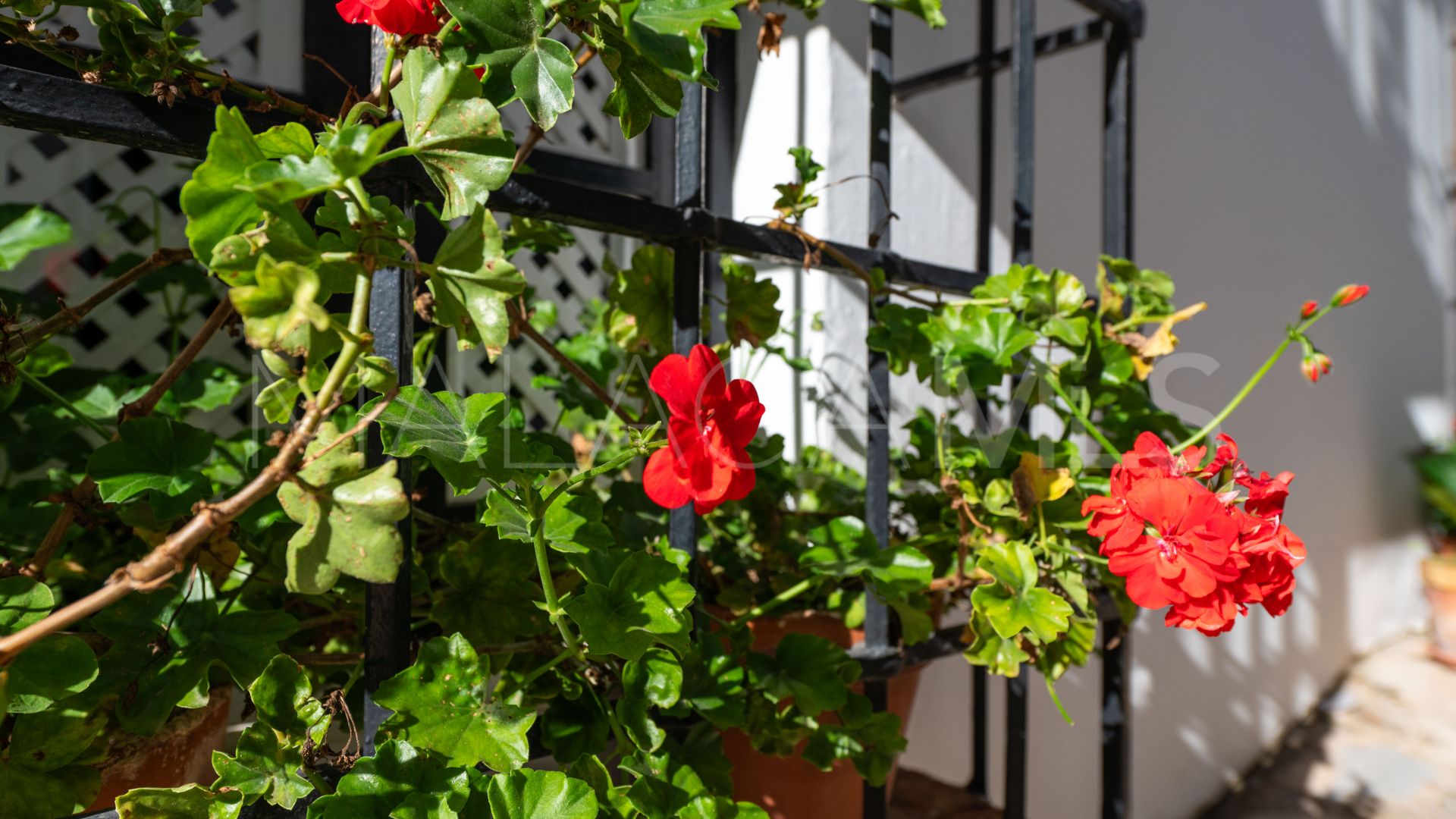 Maison de ville for sale in Las Lomas del Marbella Club