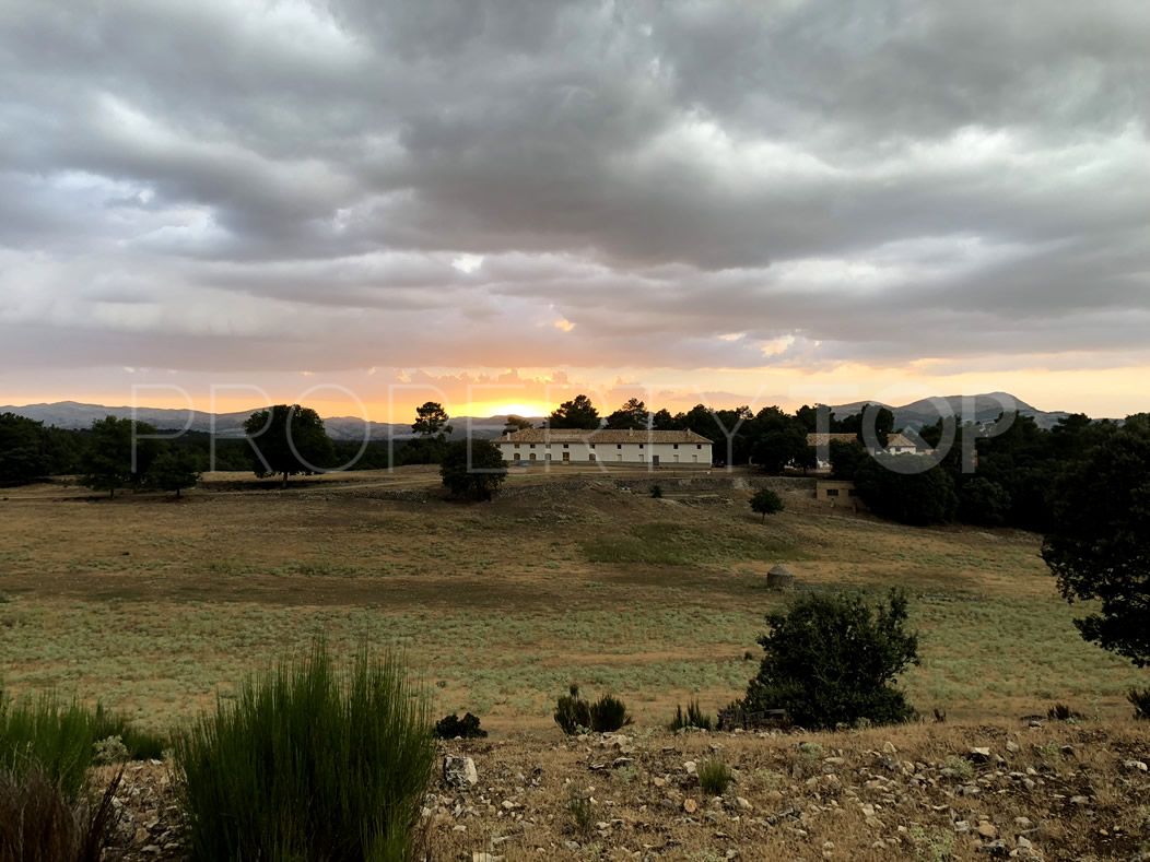 Se vende finca en Huescar de 8 dormitorios