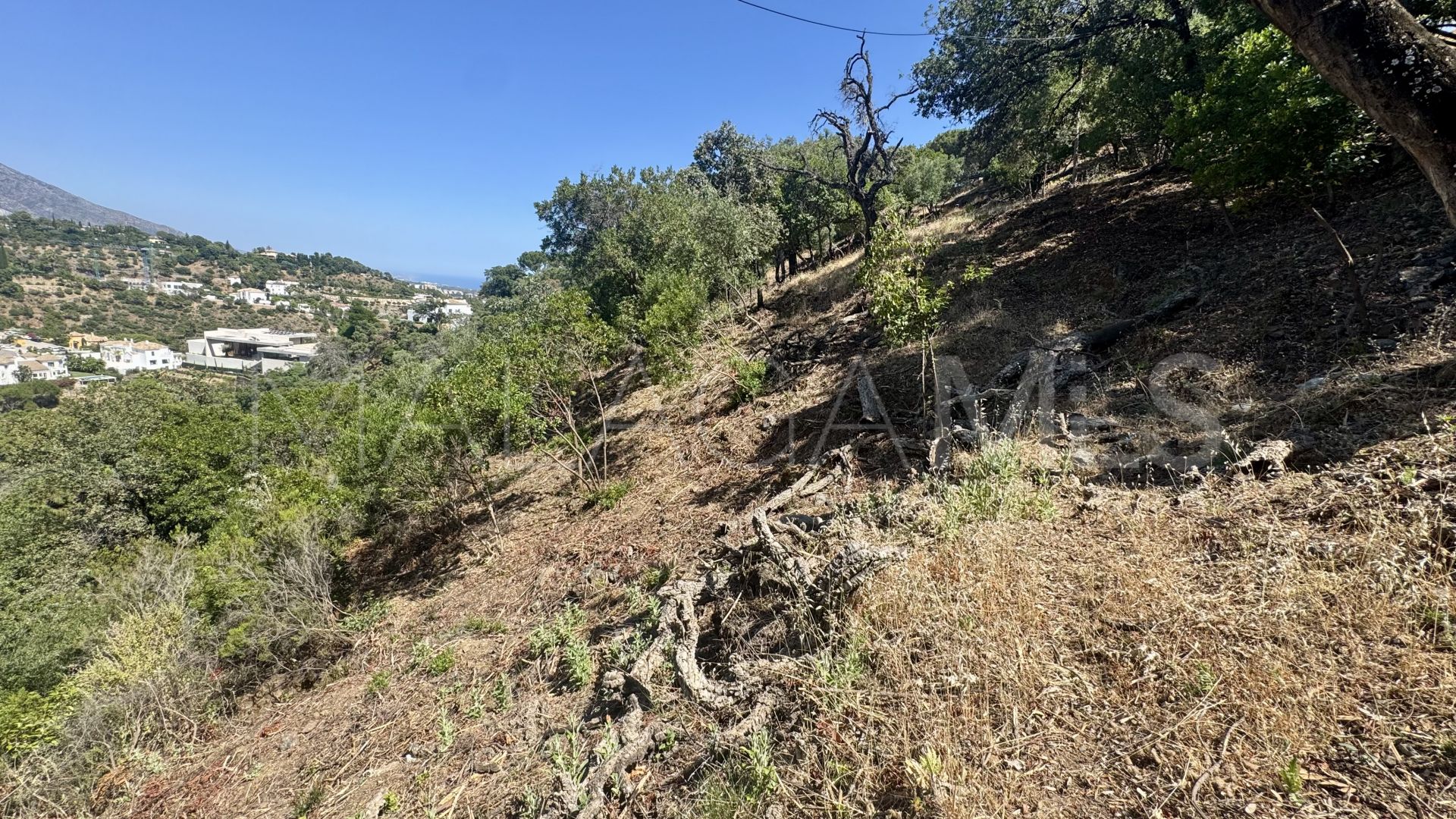 Parcela a la venta in El Madroñal