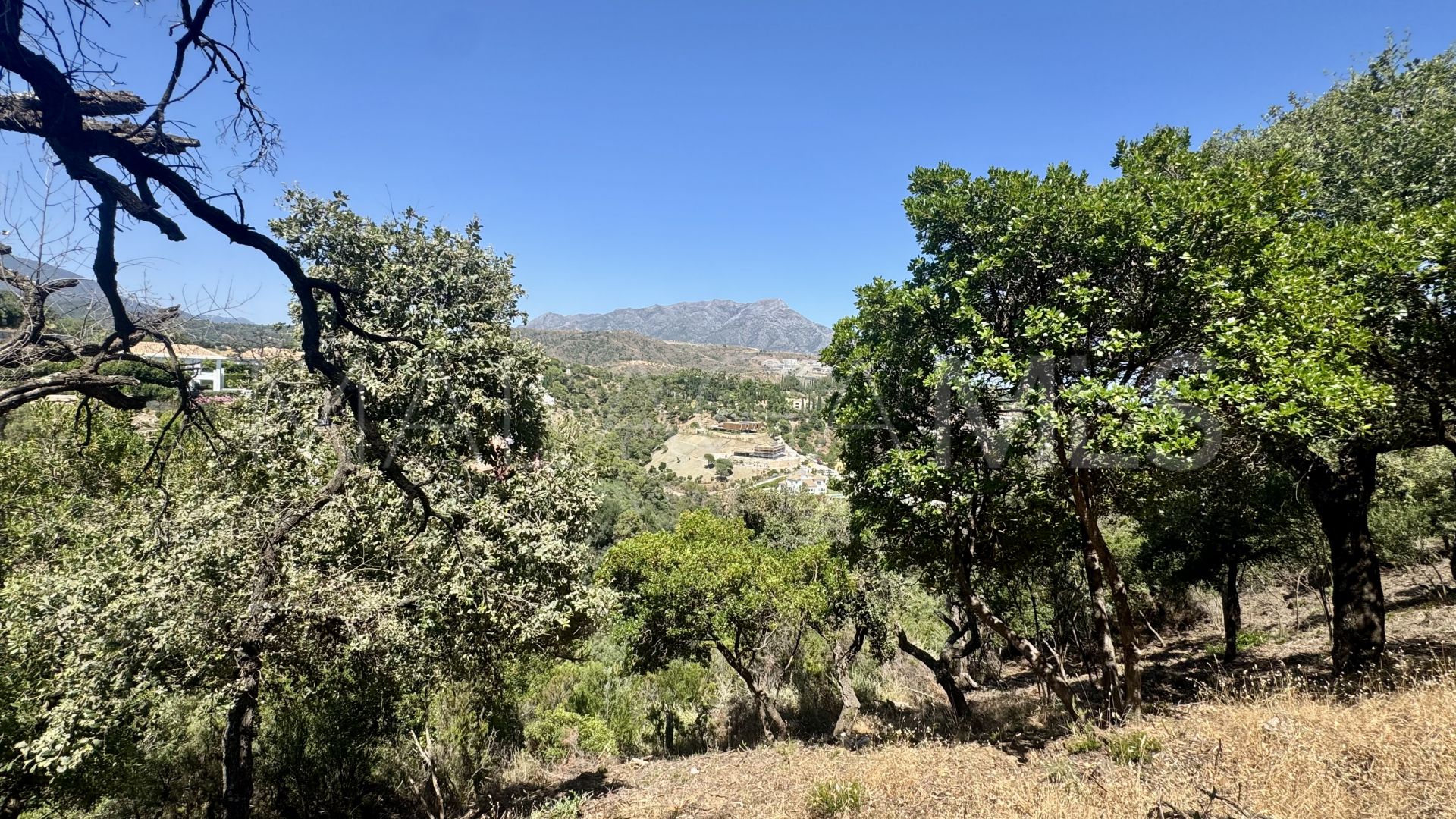 Parcela a la venta in El Madroñal