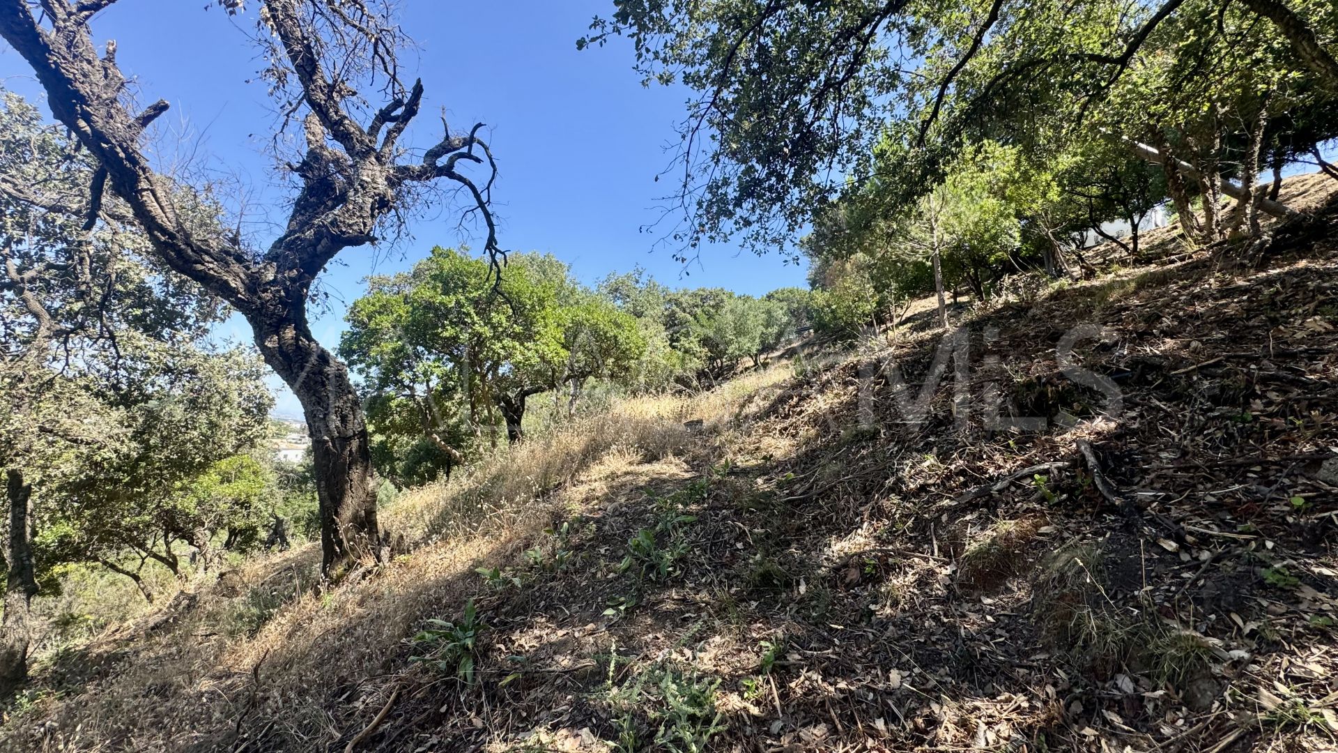 Parcela a la venta in El Madroñal