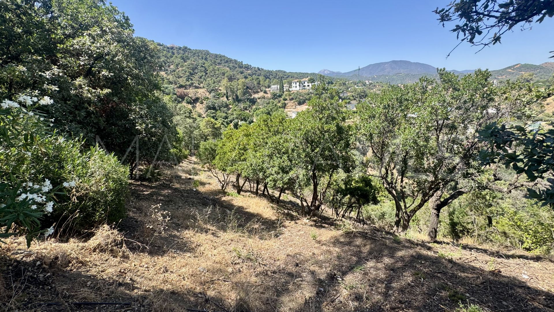Parcela a la venta in El Madroñal