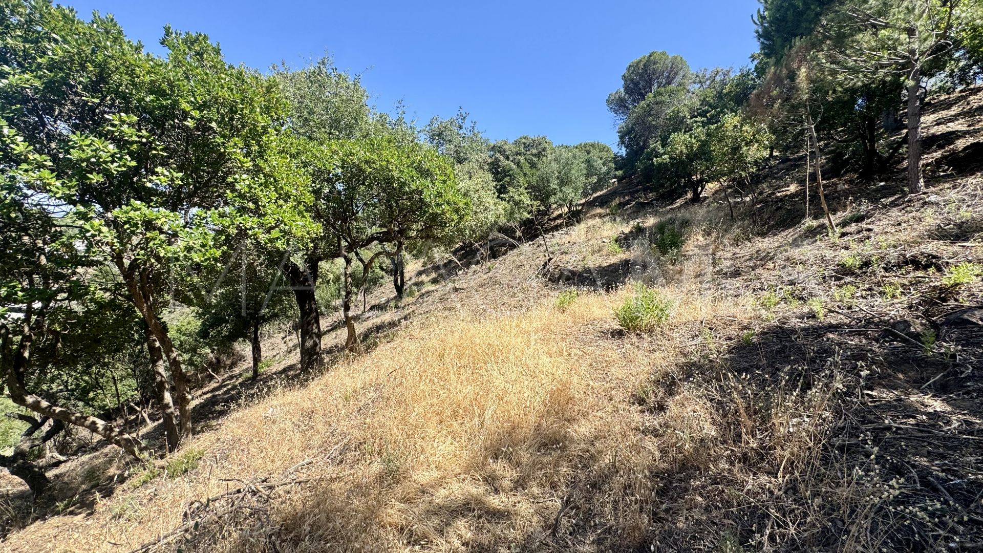 Parcela a la venta in El Madroñal