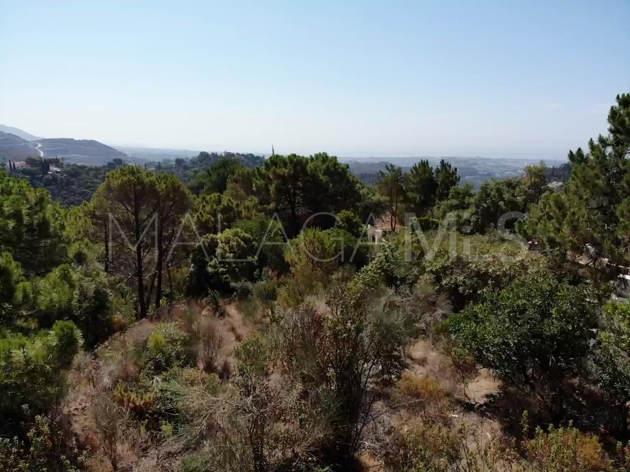 Terrain for sale in El Madroñal