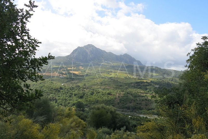 Grundstück for sale in Casares Montaña