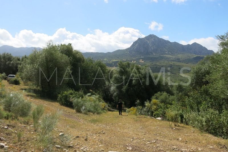 For sale Casares Montaña plot