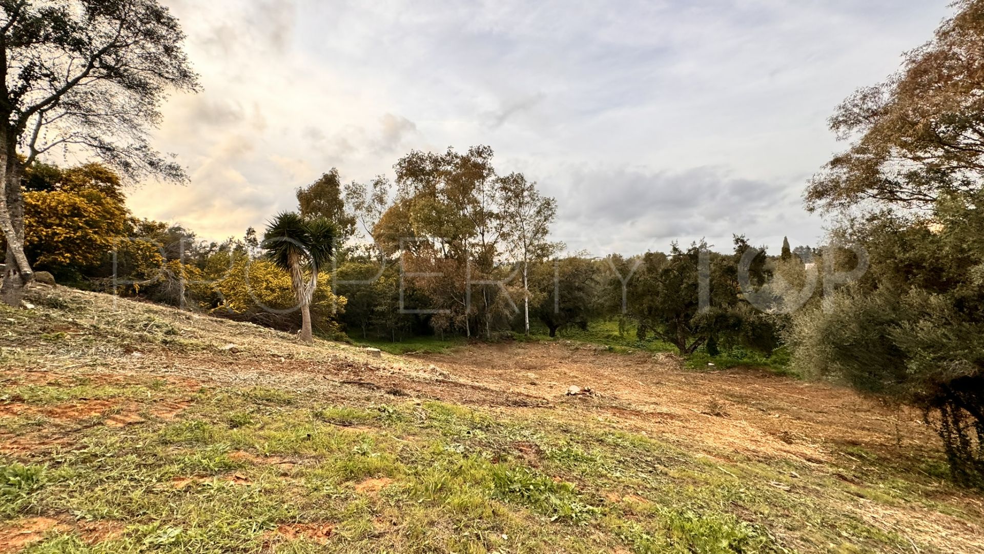 Plot for sale in Zona B