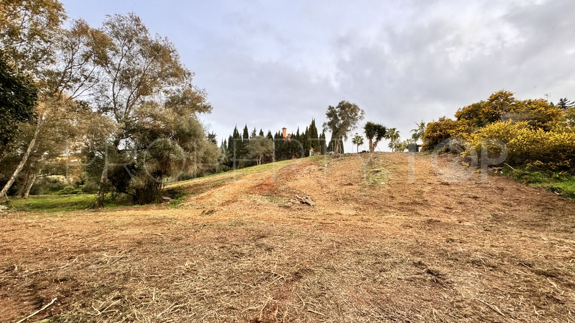 Plot for sale in Zona B