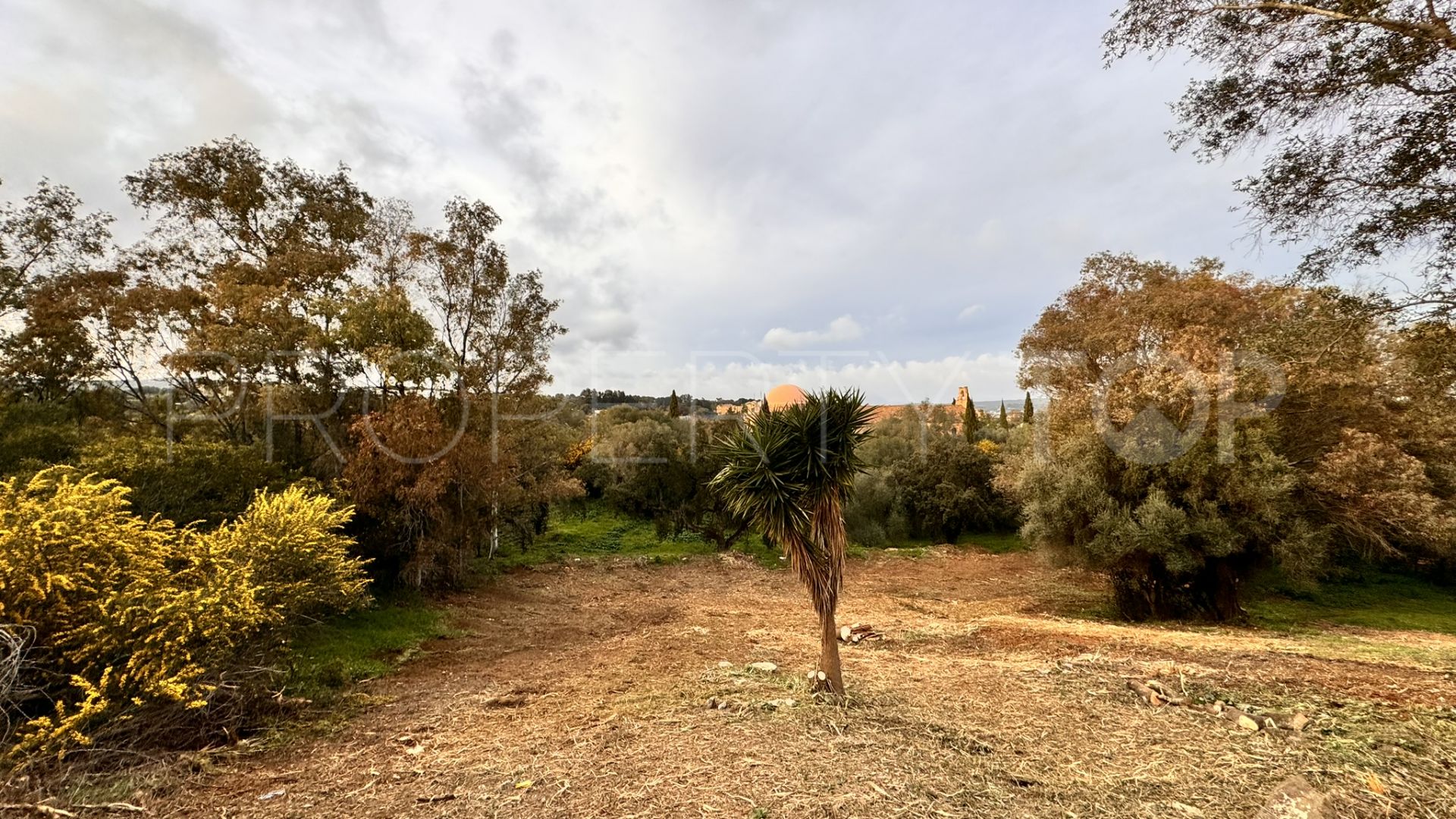 Plot for sale in Zona B