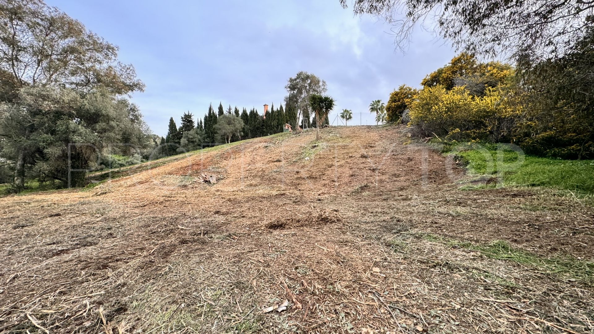 Plot for sale in Zona B