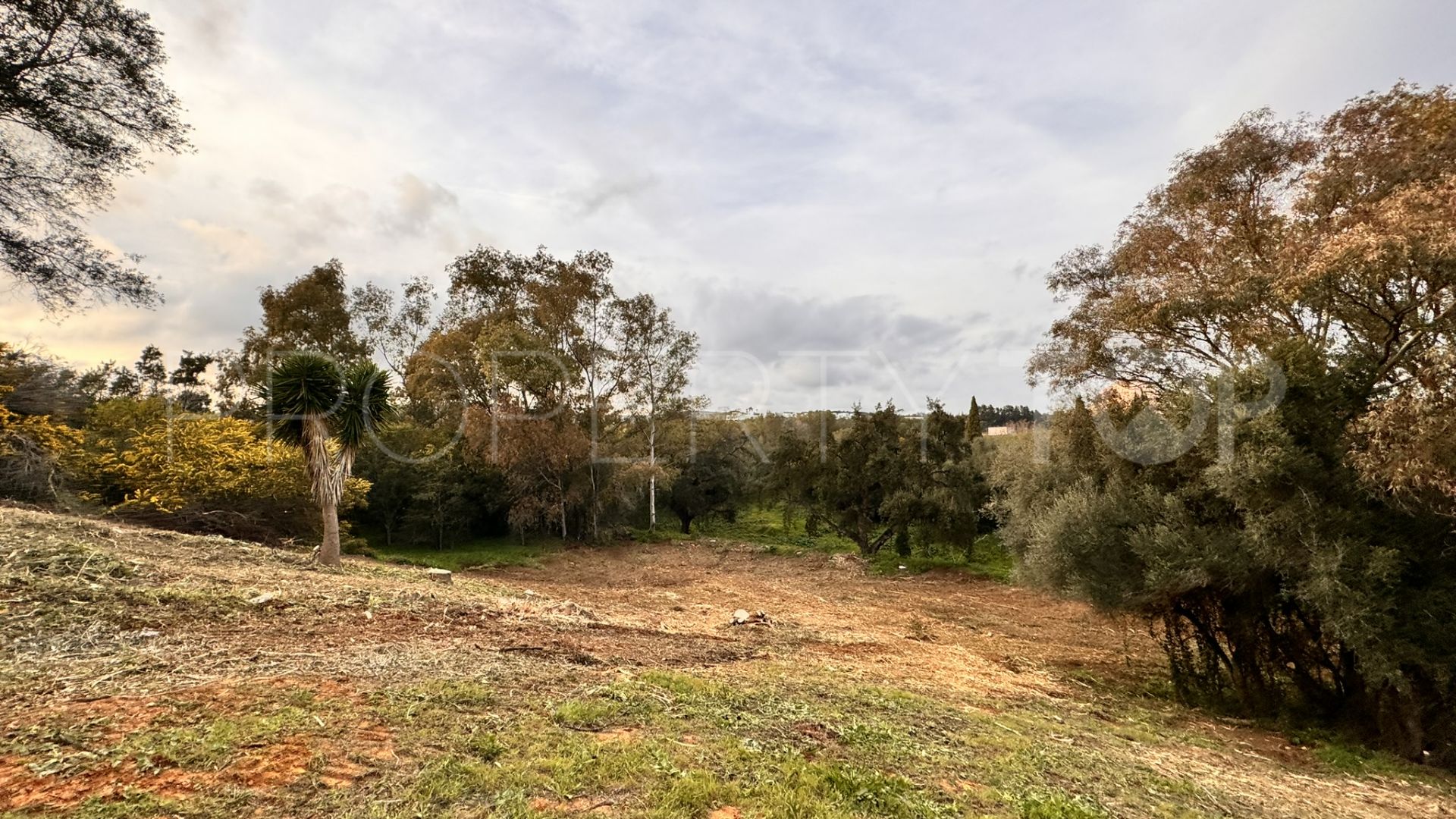 Plot for sale in Zona B