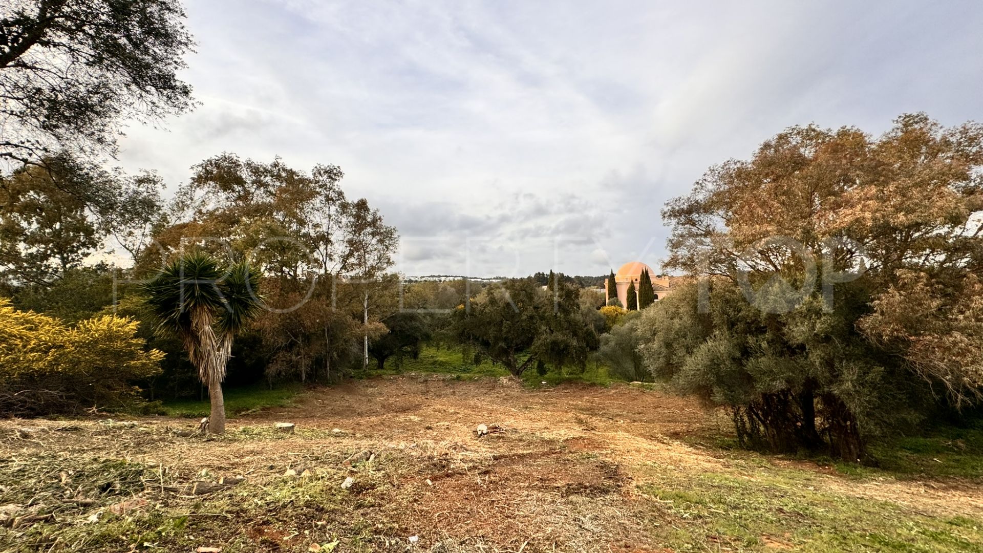 Plot for sale in Zona B