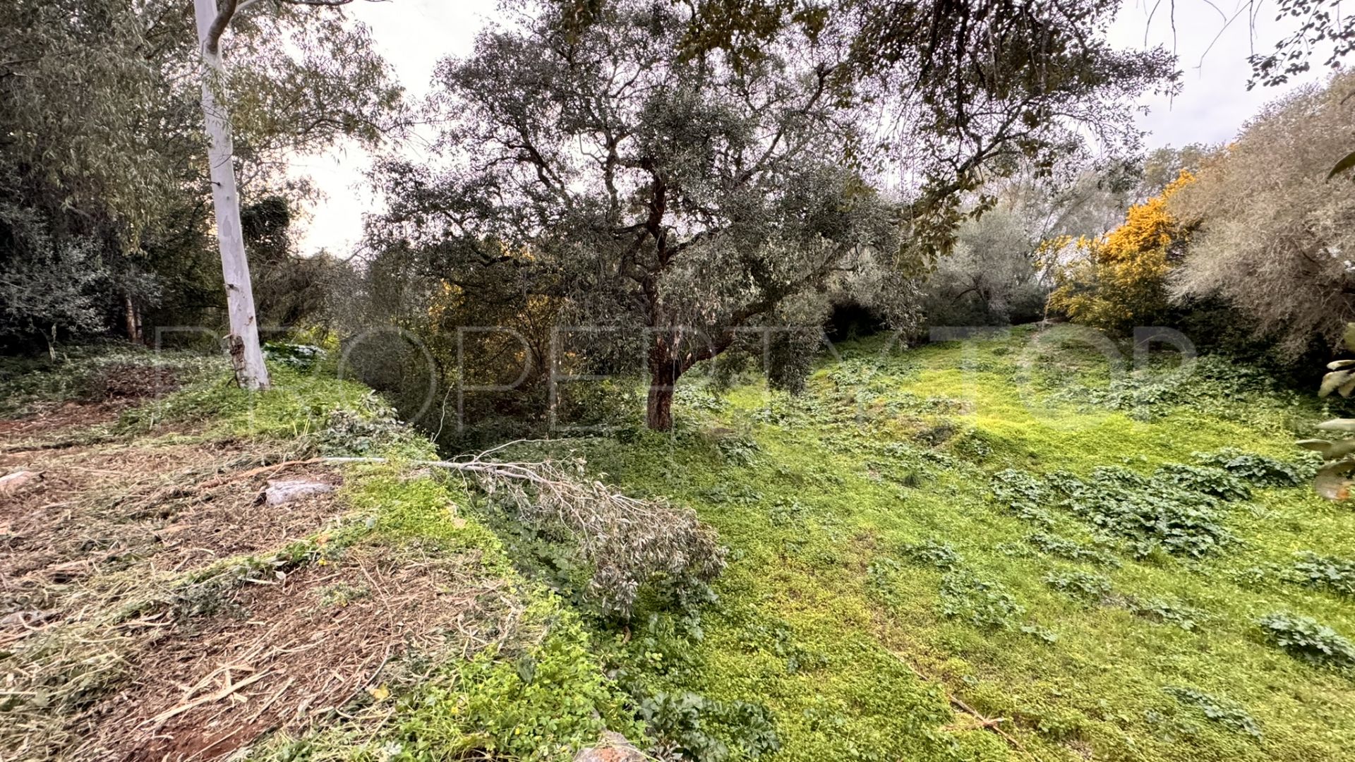 Plot for sale in Zona B